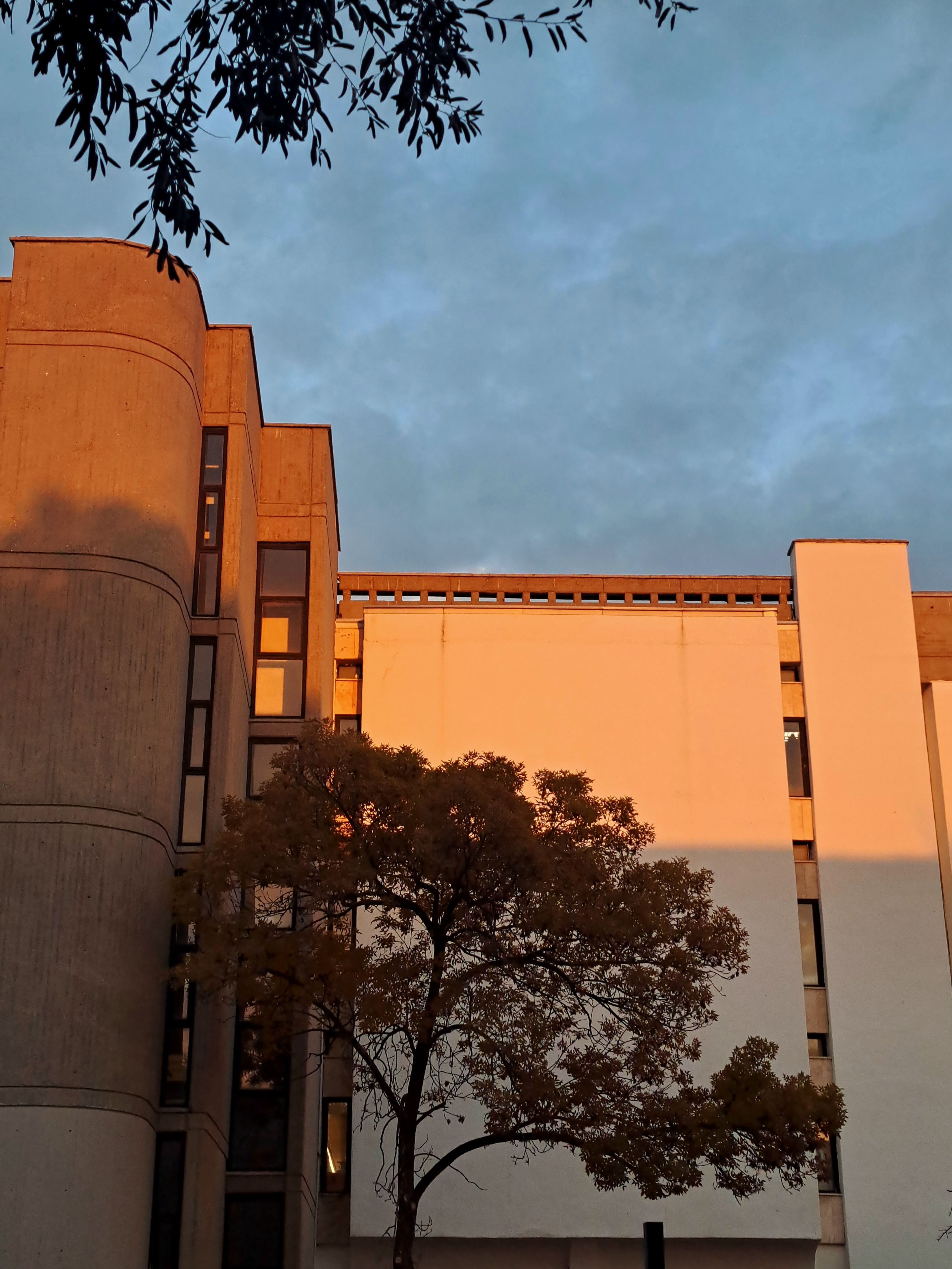 Modern Building at Sunset with Autumn Tree · Free Stock Photo