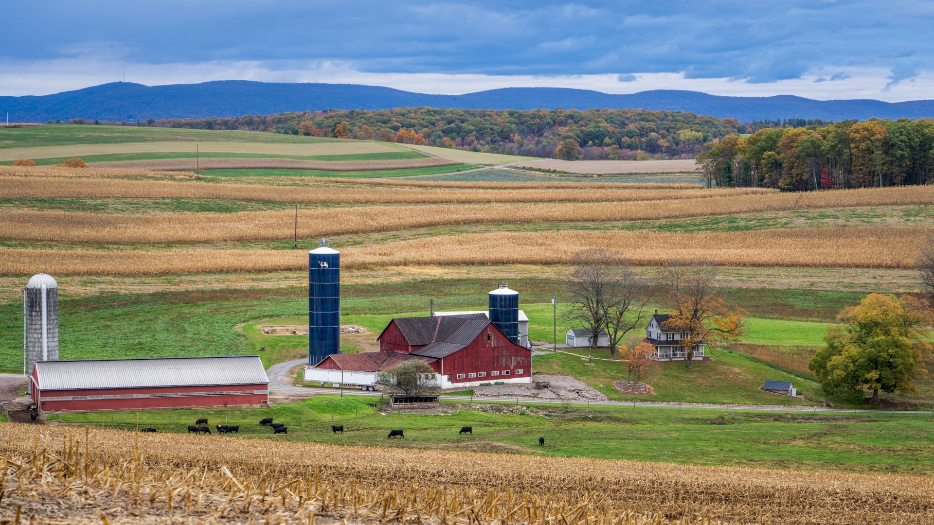Rolling farmland and a rural home in the Mid-Atlantic countryside