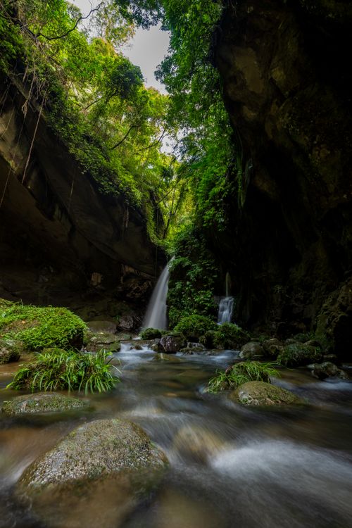 Free A tranquil waterfall cascading through a verdant canyon, surrounded by lush greenery and flowing stream. Stock Photo