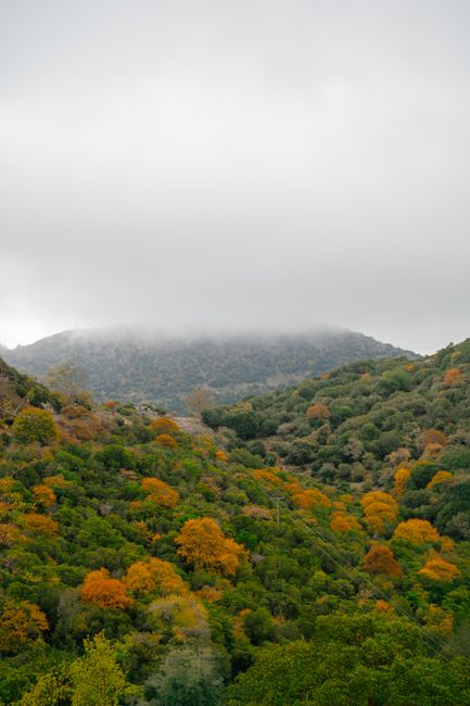 Stunning autumn scene of vibrant foliage and foggy mountaintop.