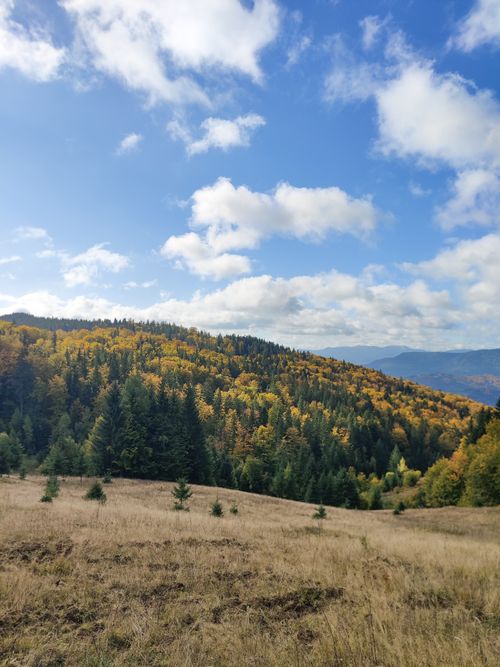 Free A beautiful autumn landscape featuring colorful forested hills under a vibrant blue sky. Stock Photo