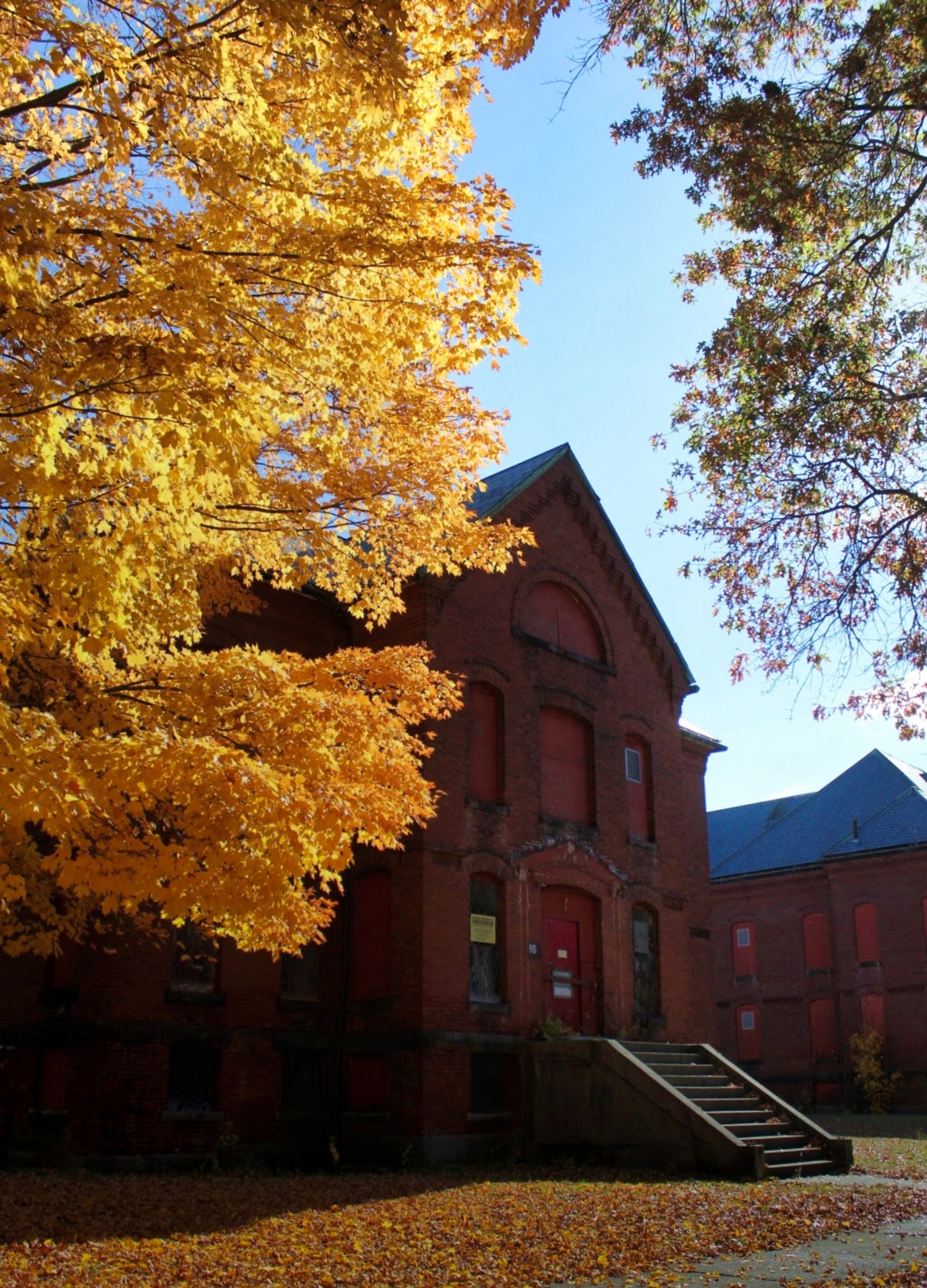Medfield State Hospital 1