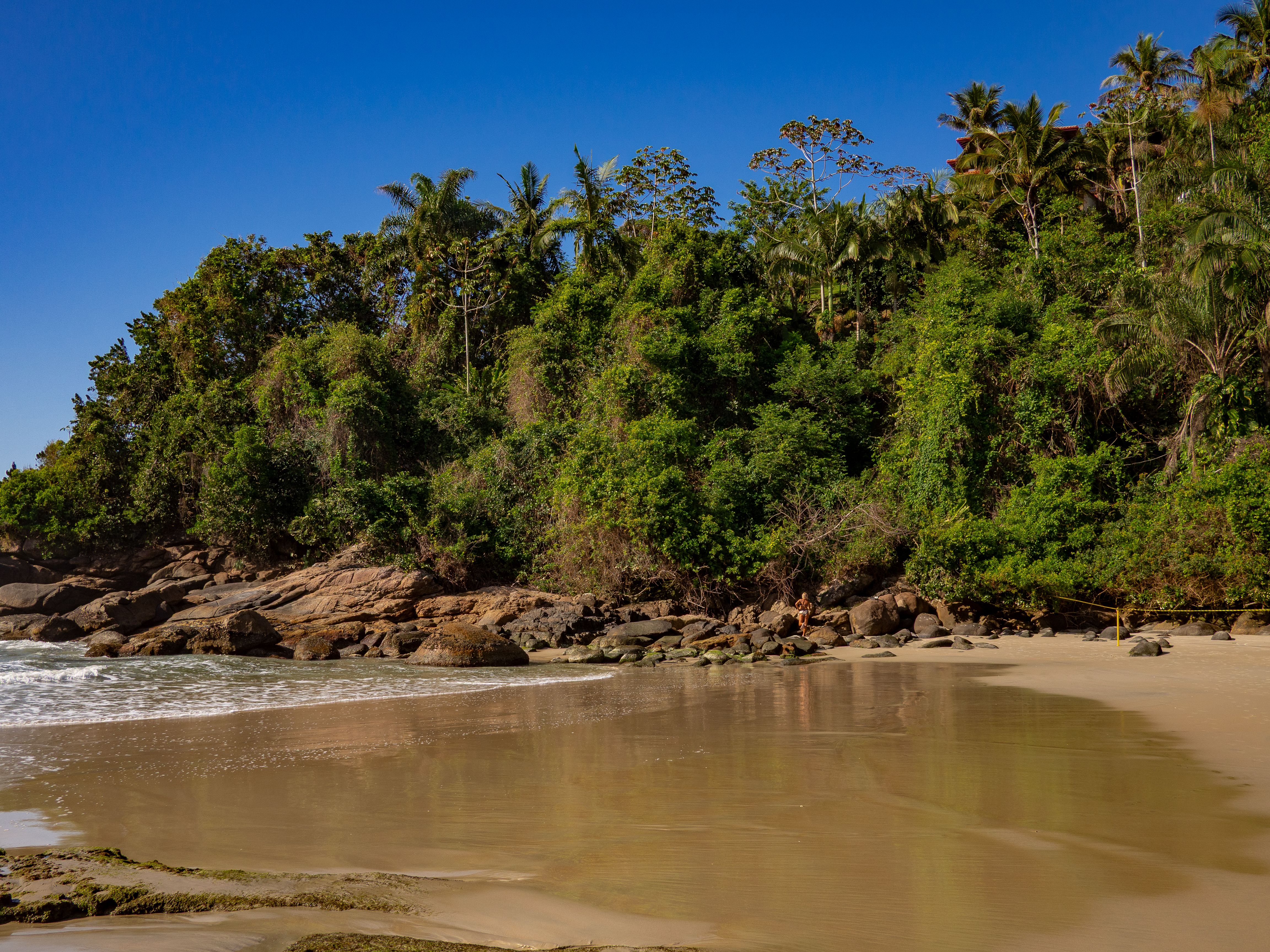 Serene Tropical Beach with Lush Greenery · Free Stock Photo