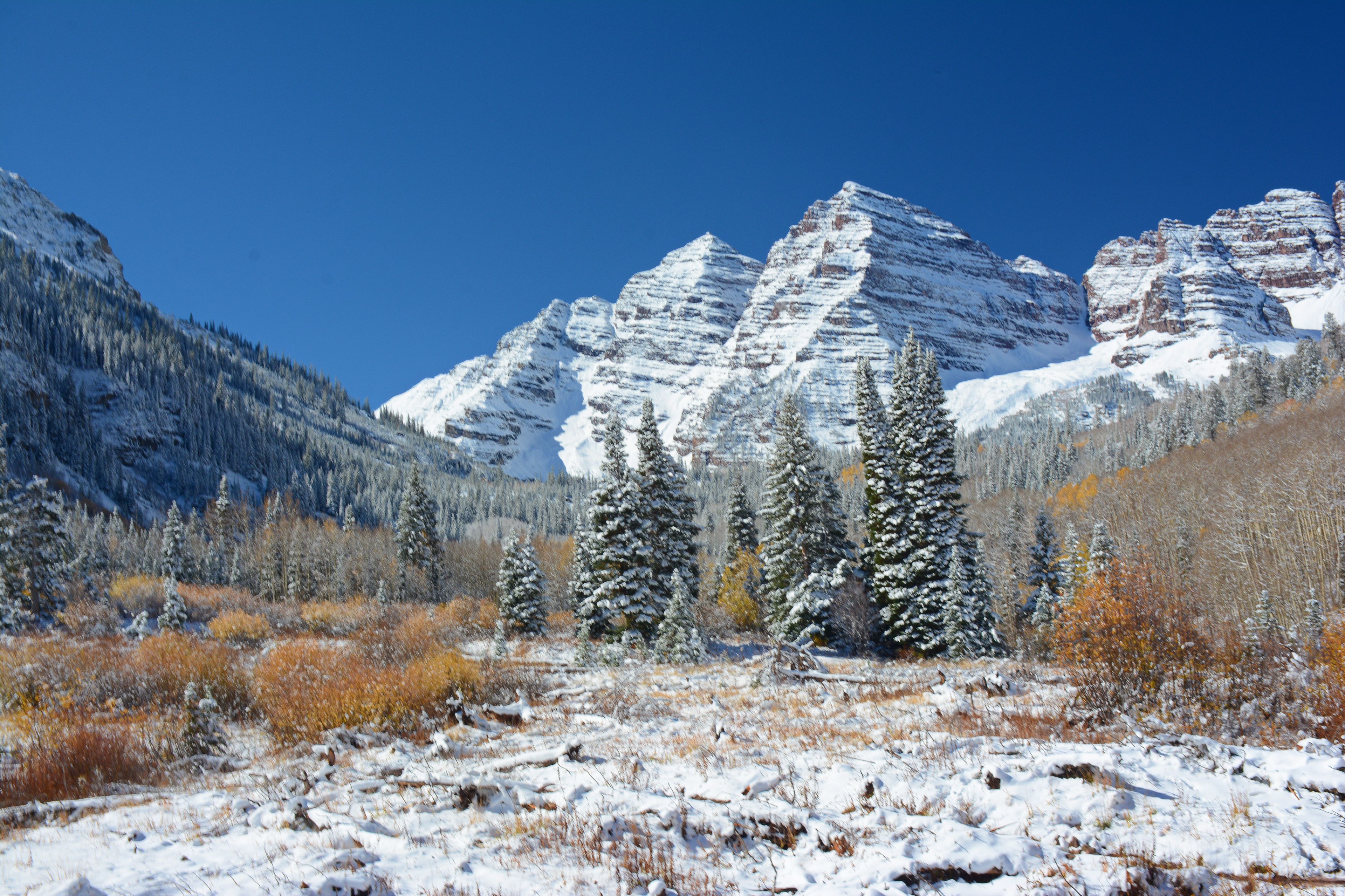What’s Working: Where to find Colorado homeowners insurance discounts and grants — Photo by Jeff Wiles on Pexels
