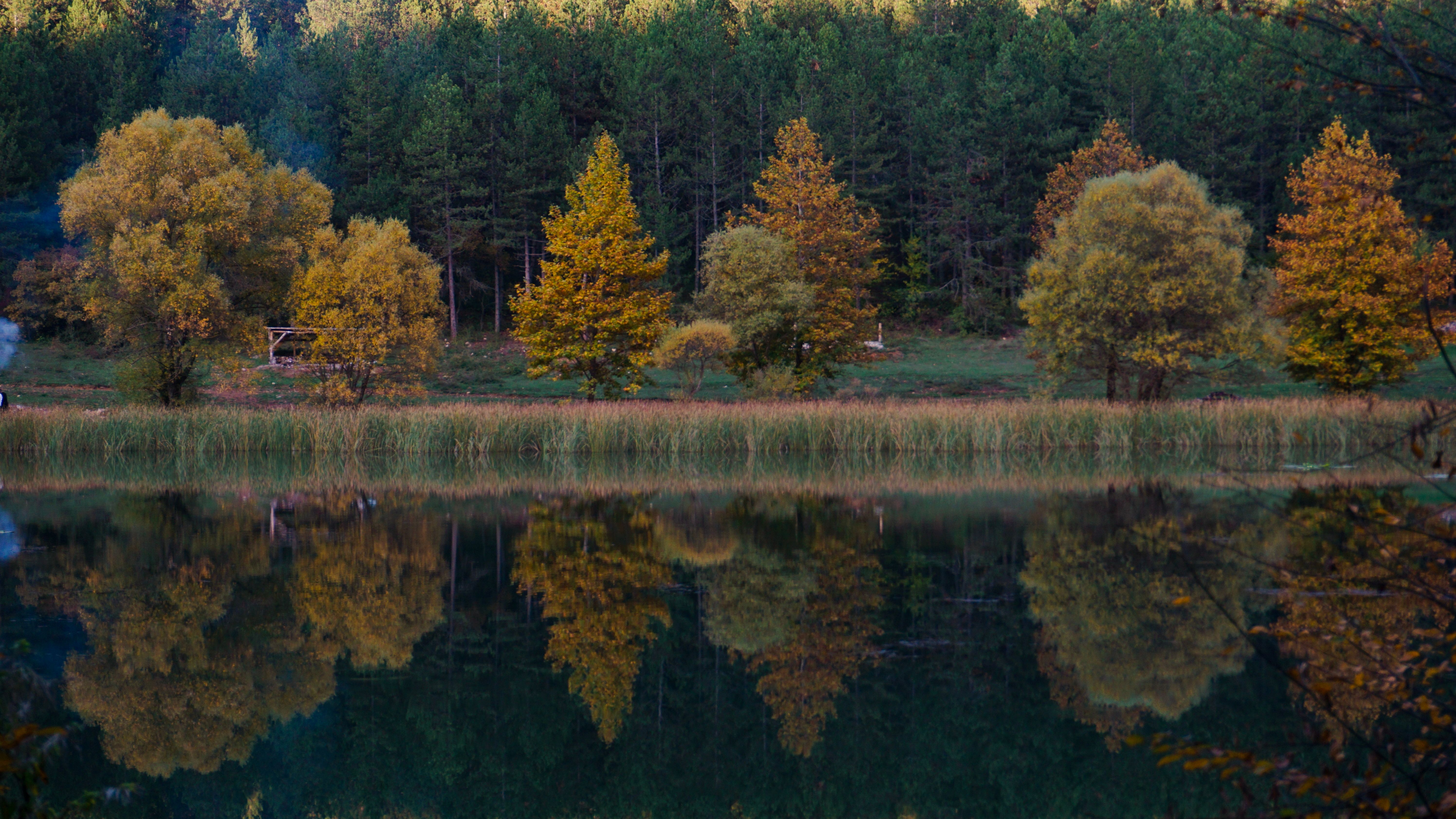 Serene Autumn Forest Reflected in Lake · Free Stock Photo
