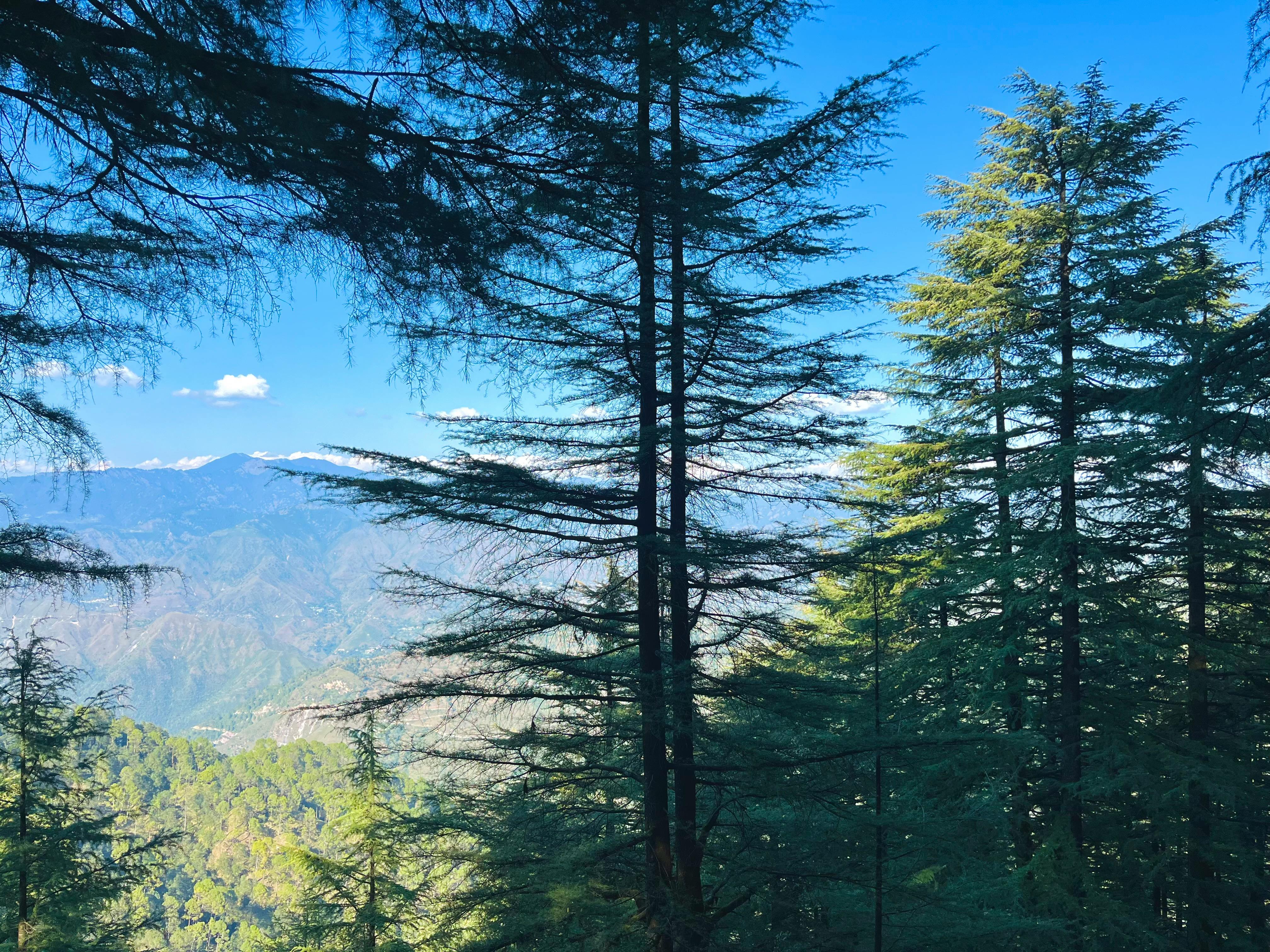 CeDAR Hosts 2nd Leadership Summit on Blockchain and Digital Assets — Photo by Kamran khan on Pexels