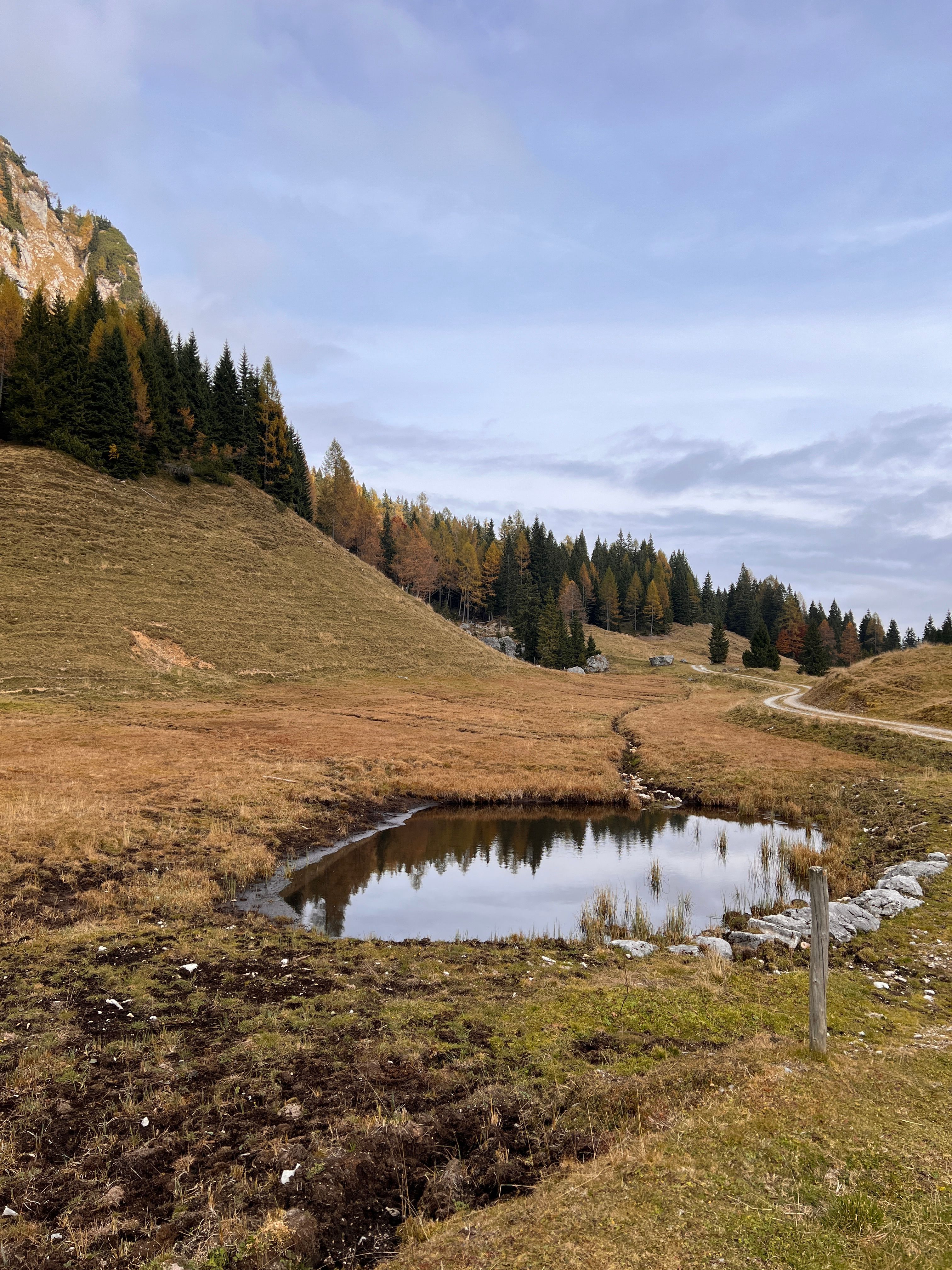 Scenic Autumn Landscape with Reflective Pond · Free Stock Photo
