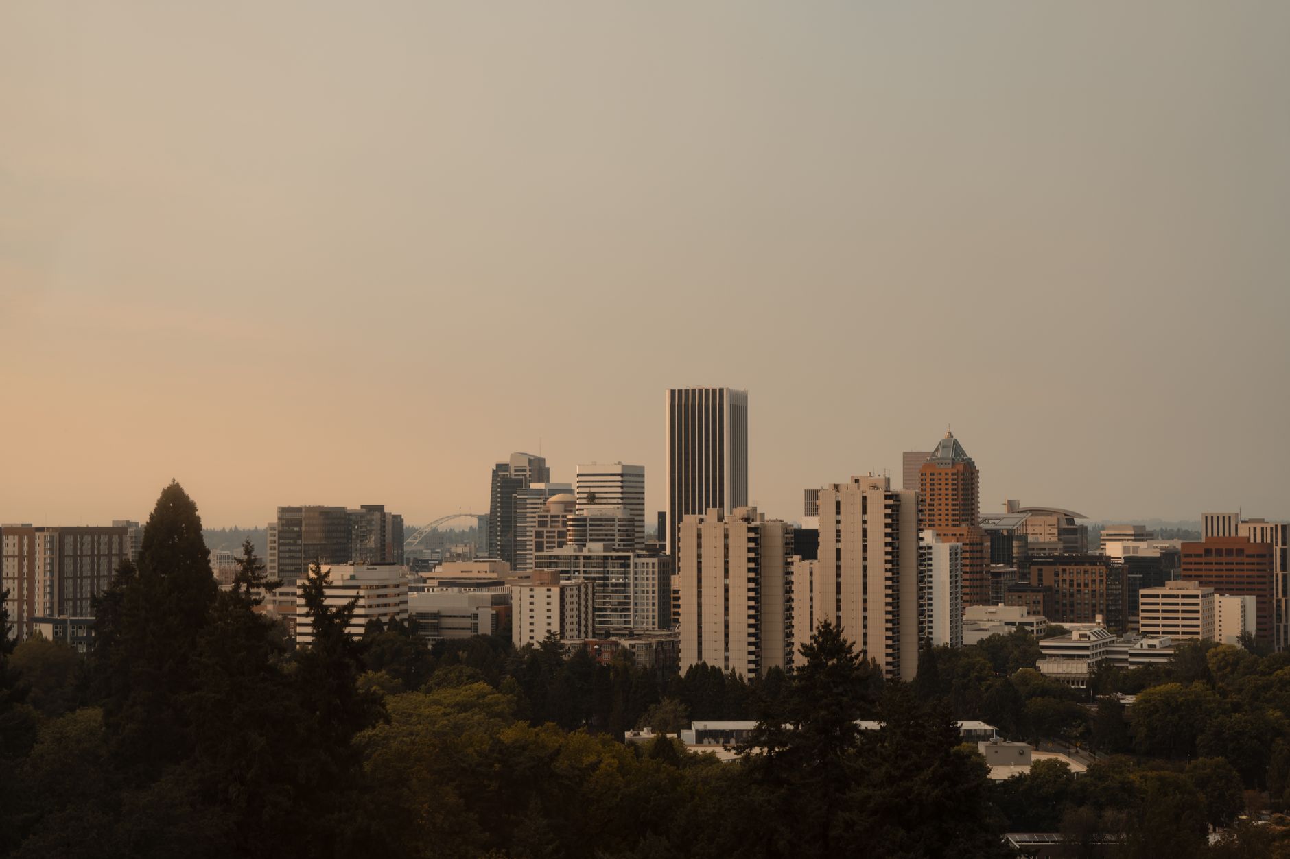 Captivating Portland skyline framed by trees at sunset, highlighting urban architecture.