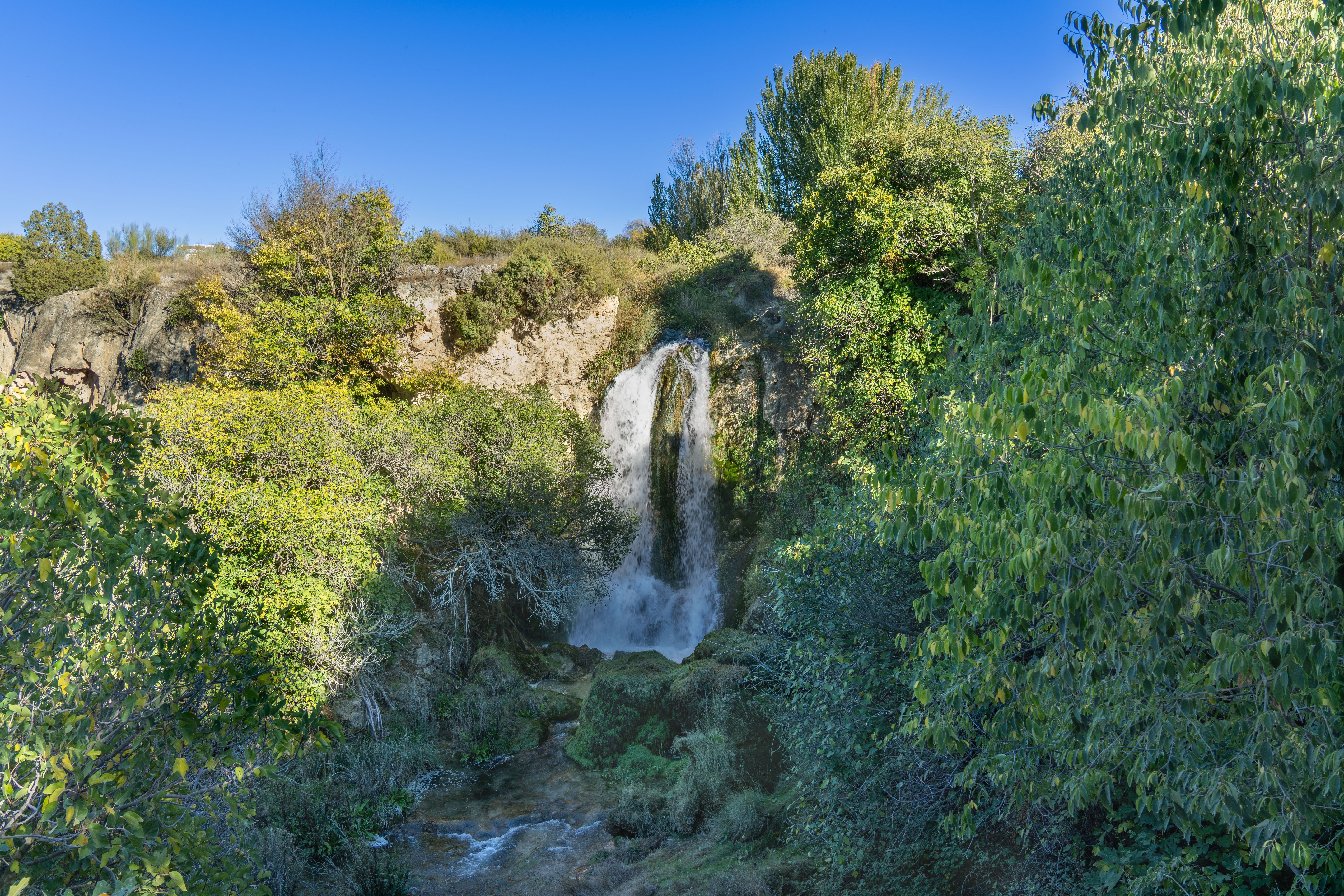 Parque Forestal de la Senda del Henares