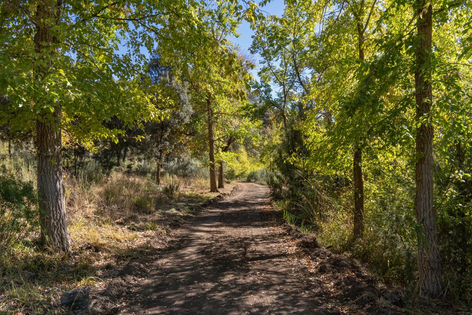 The Colony Parks & Trails: An Outdoor Guide