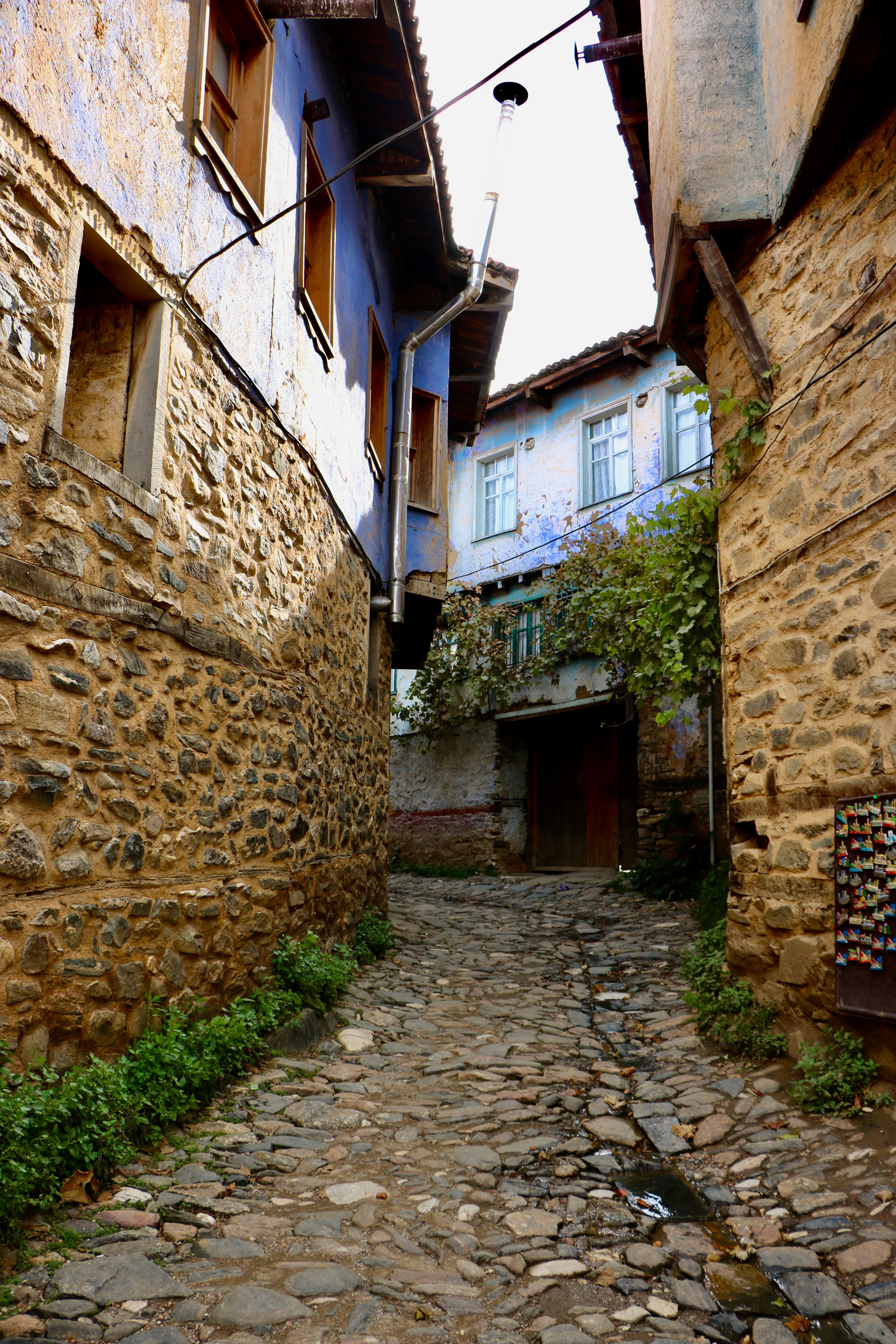 Rustic stone street with blue buildings in historical village setting.