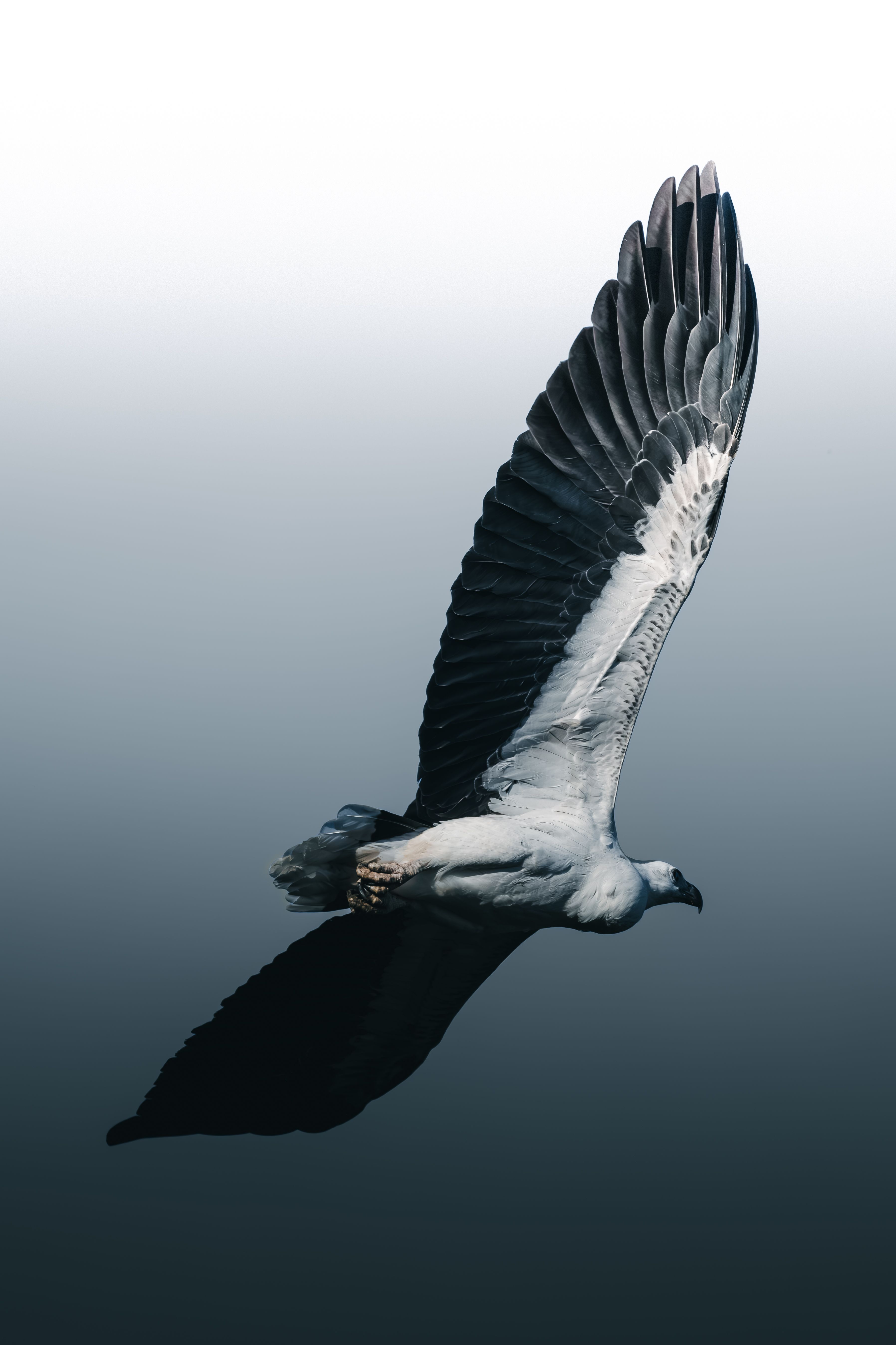 Benchmarking SOAR with Threat Intelligence: Data-Driven Insights on Security Automation
