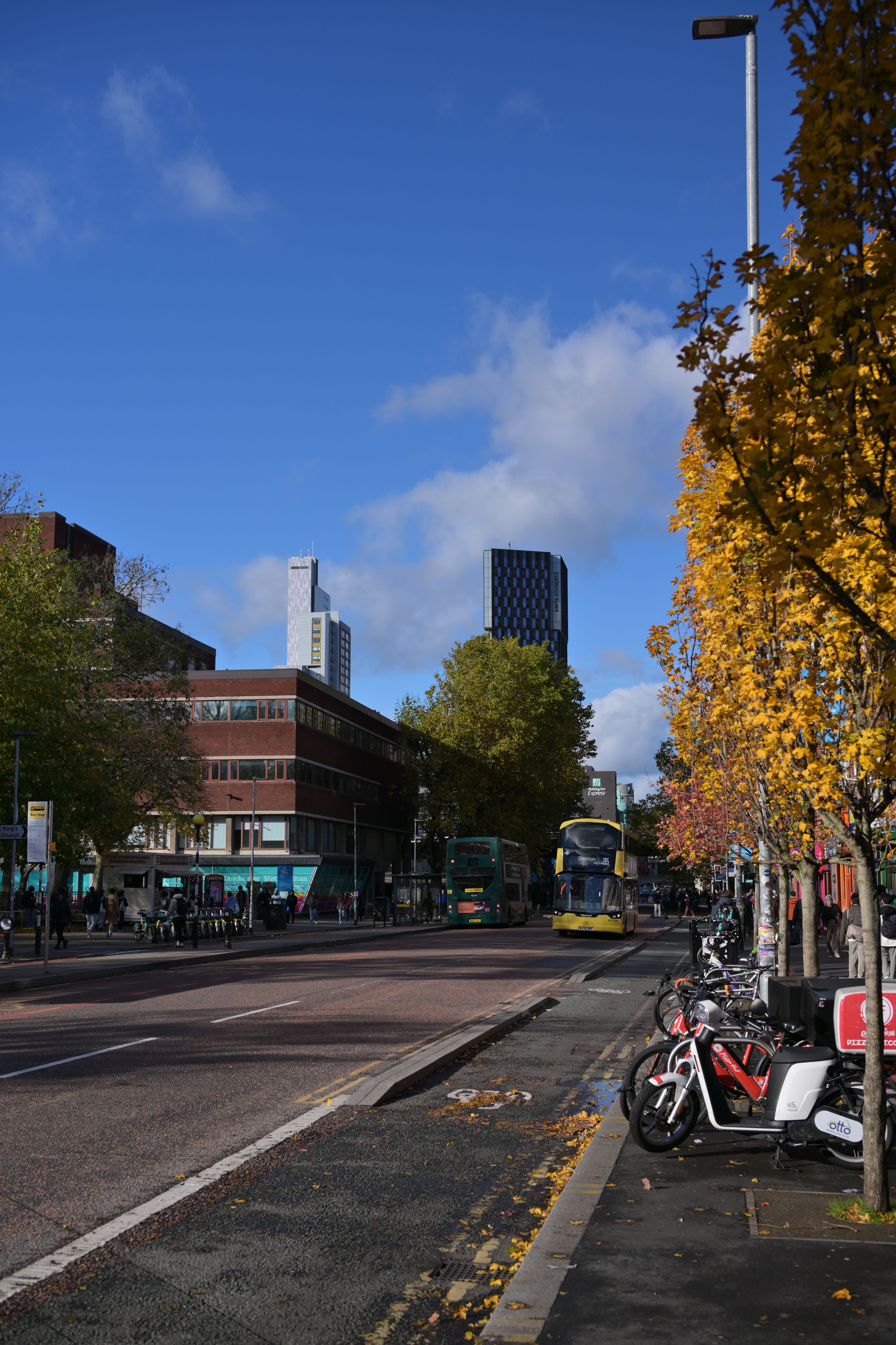 Urban Street Scene with Autumn Foliage in City · Free Stock Photo