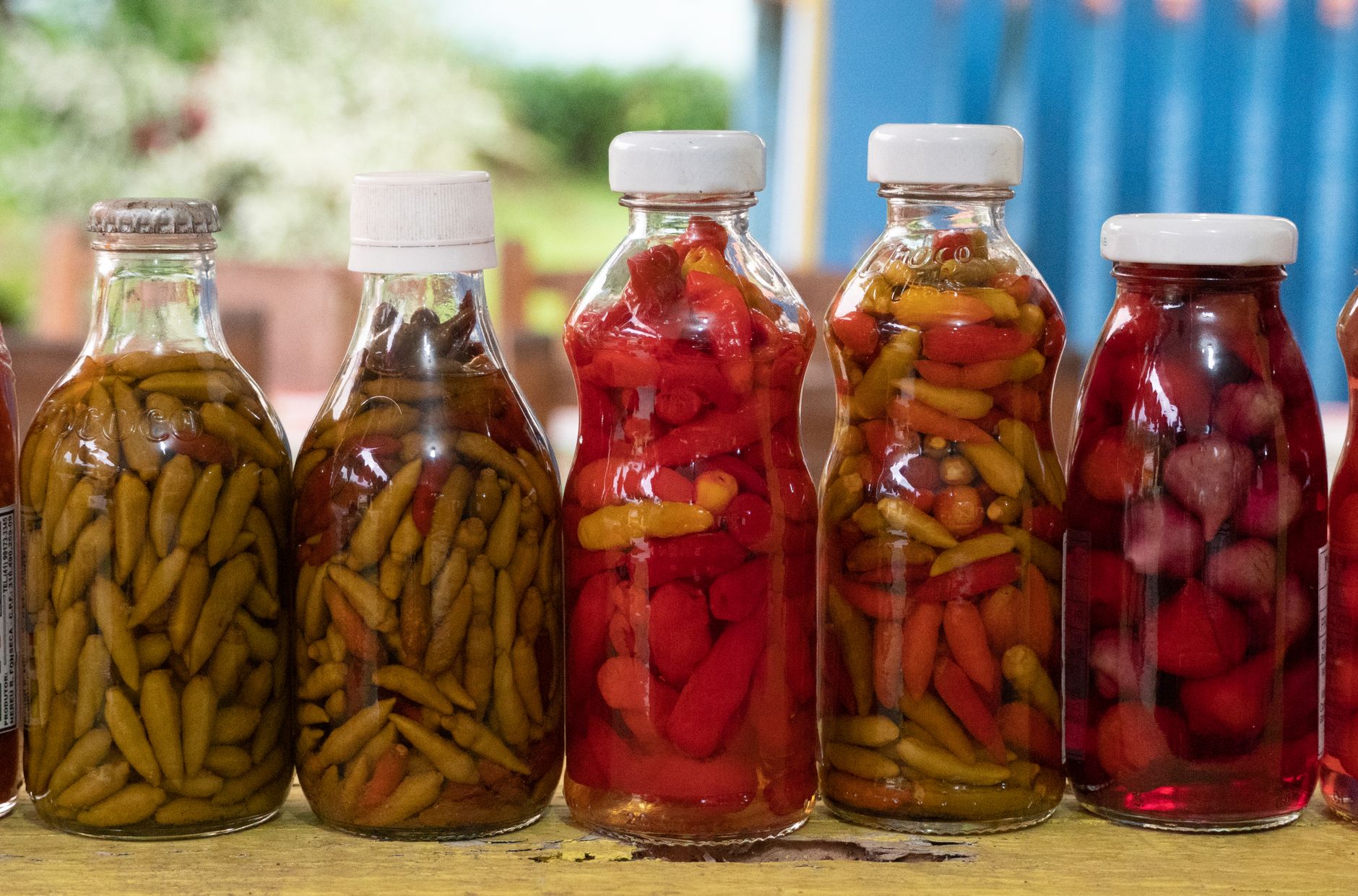 Jar of freshly pickled banana peppers on kitchen counter