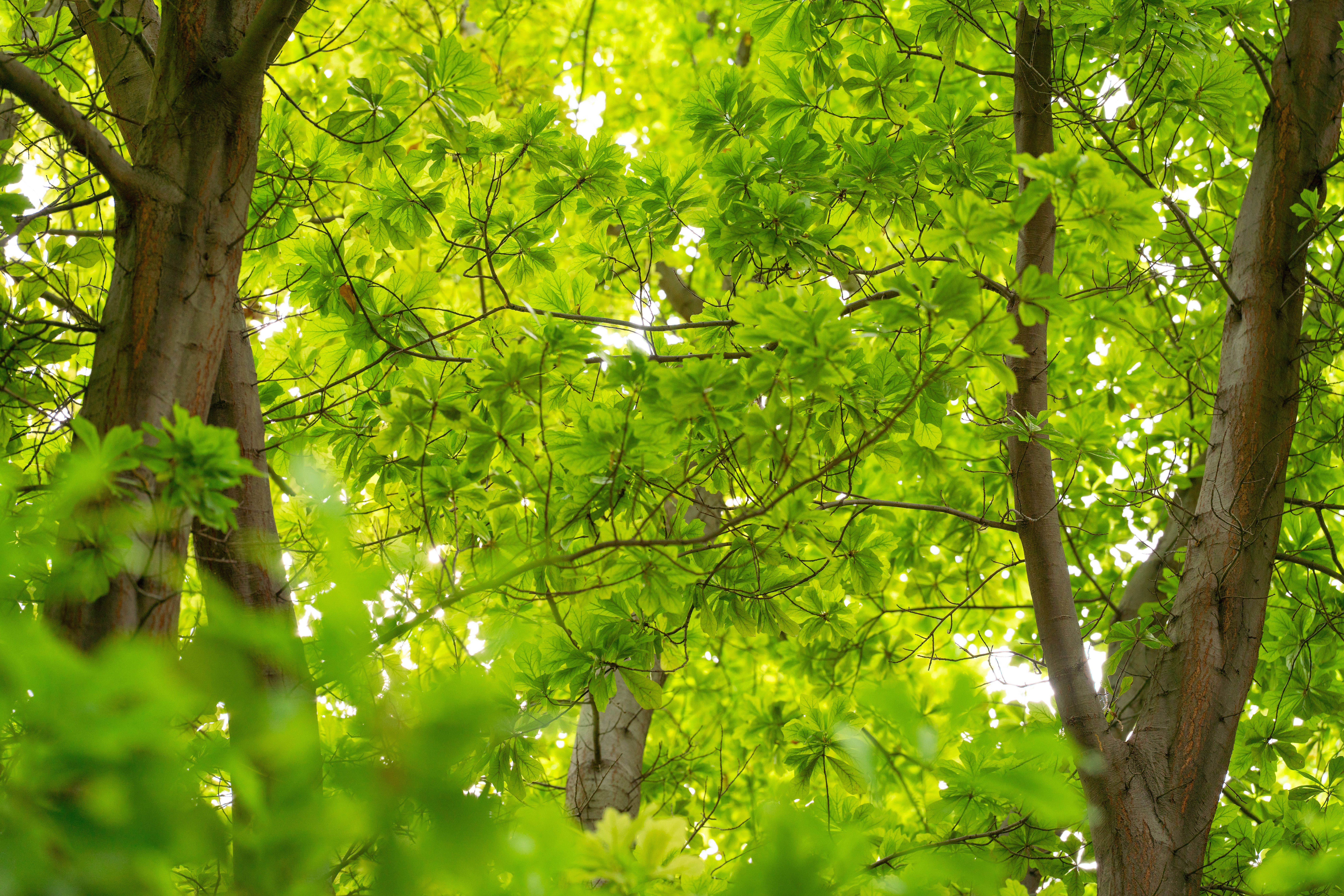 How to tell real sustainability from green marketing