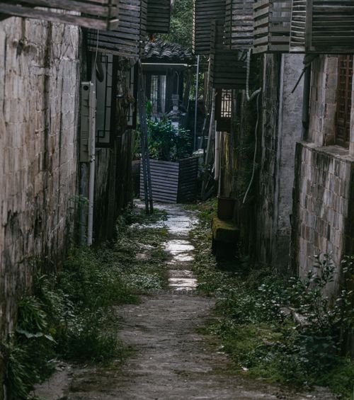 Free A serene narrow alleyway lined with rustic walls and lush greenery, creating a peaceful urban escape. Stock Photo