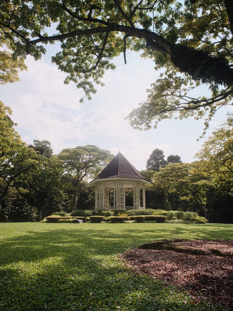 The white Victorian bandstand gazebo on a lawn at Singapore Botanic Gardens