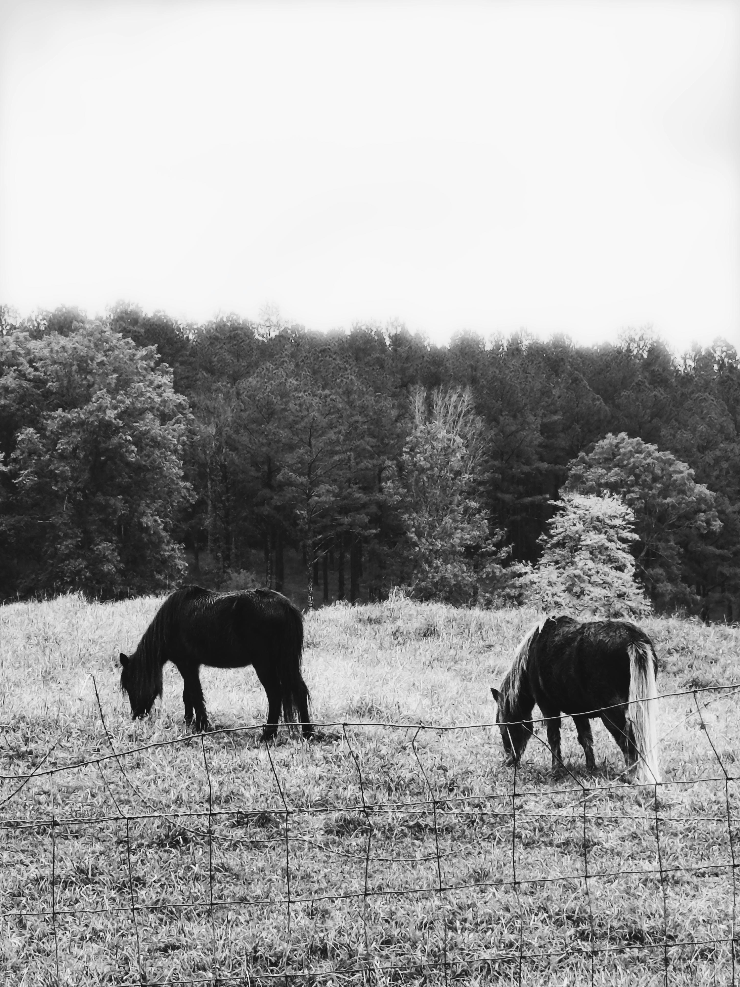 Naked+Movies+Hd Photos, Download The BEST Free Naked+Movies+Hd Stock