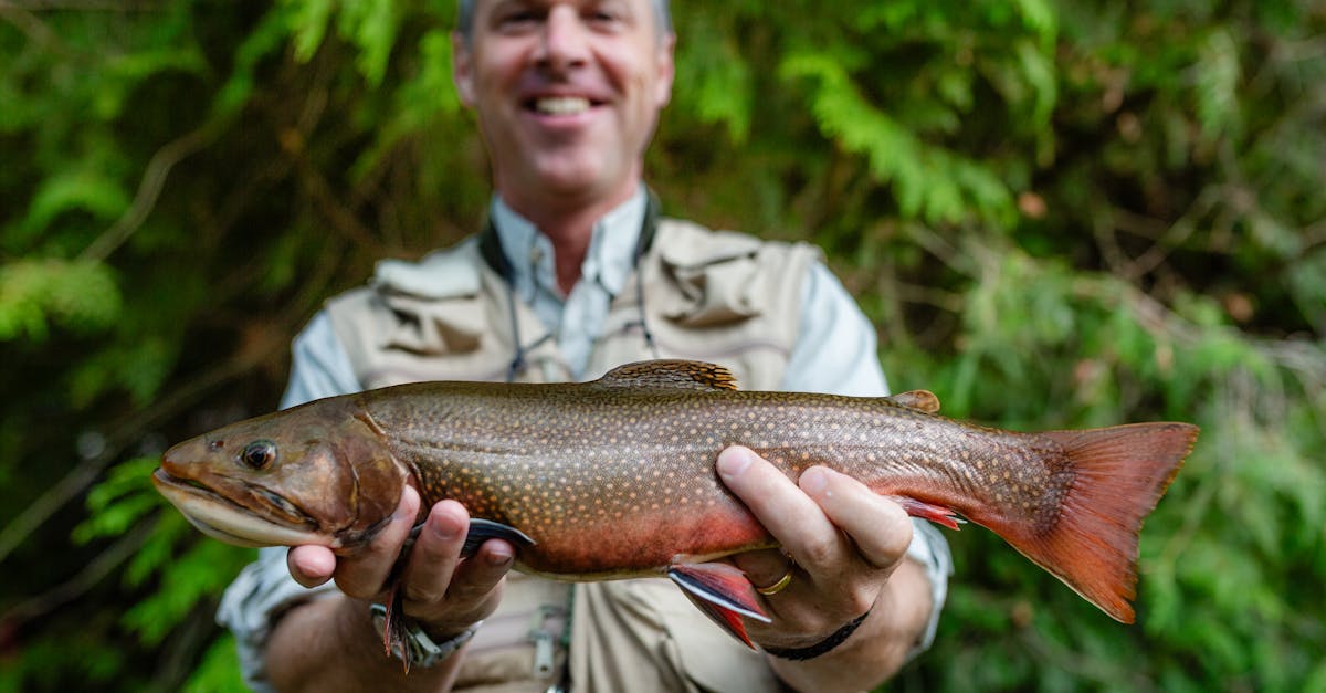 Inside the Angler Fishing Landscape: A 2025 Overview