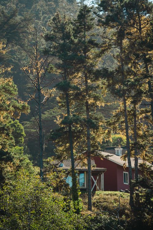 Free A charming cabin nestled in a sunlit forest with tall pine trees. Stock Photo