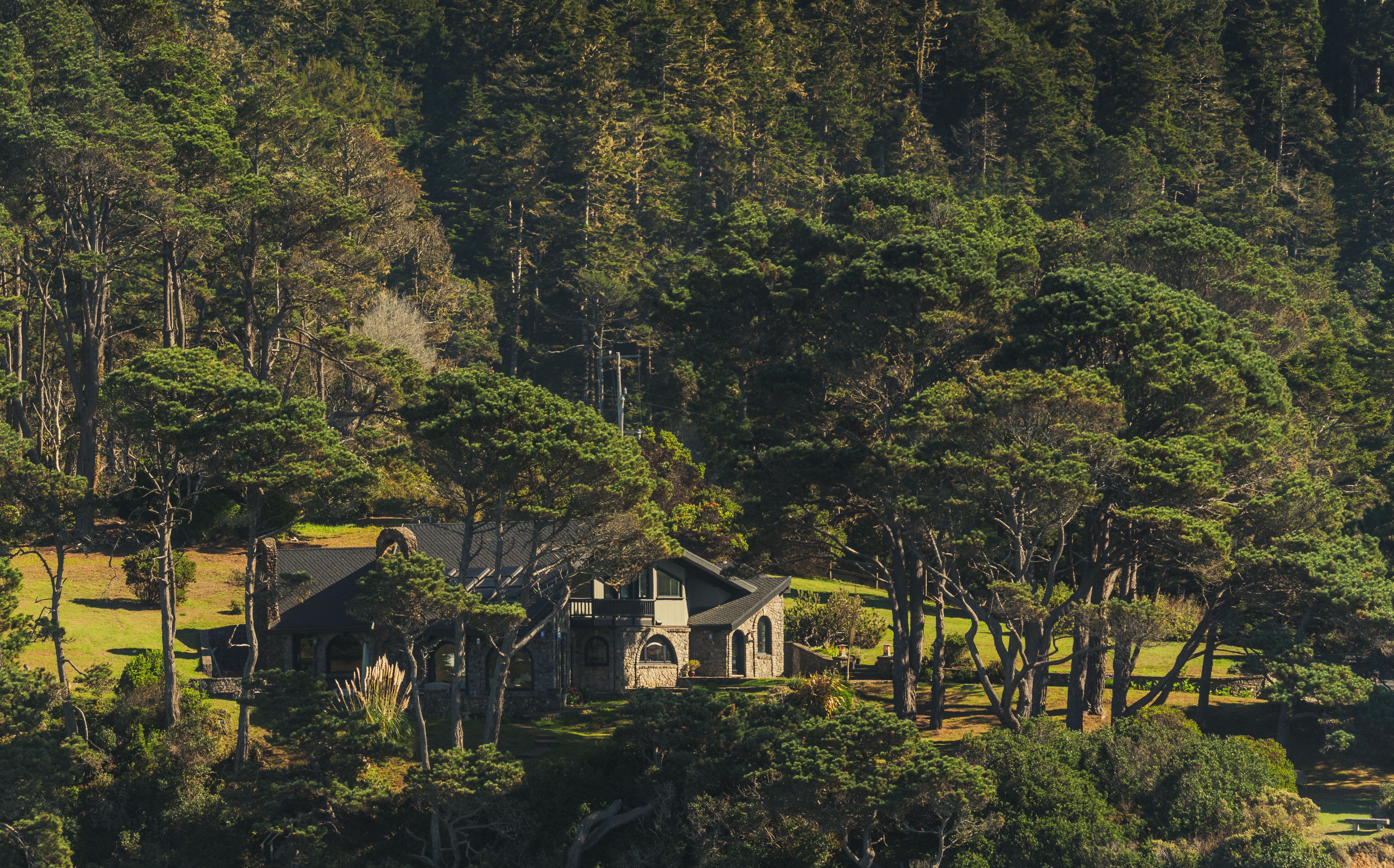 California's homeowners insurance market is now 15% nonstandard — Photo by Griffin Wooldridge on Pexels