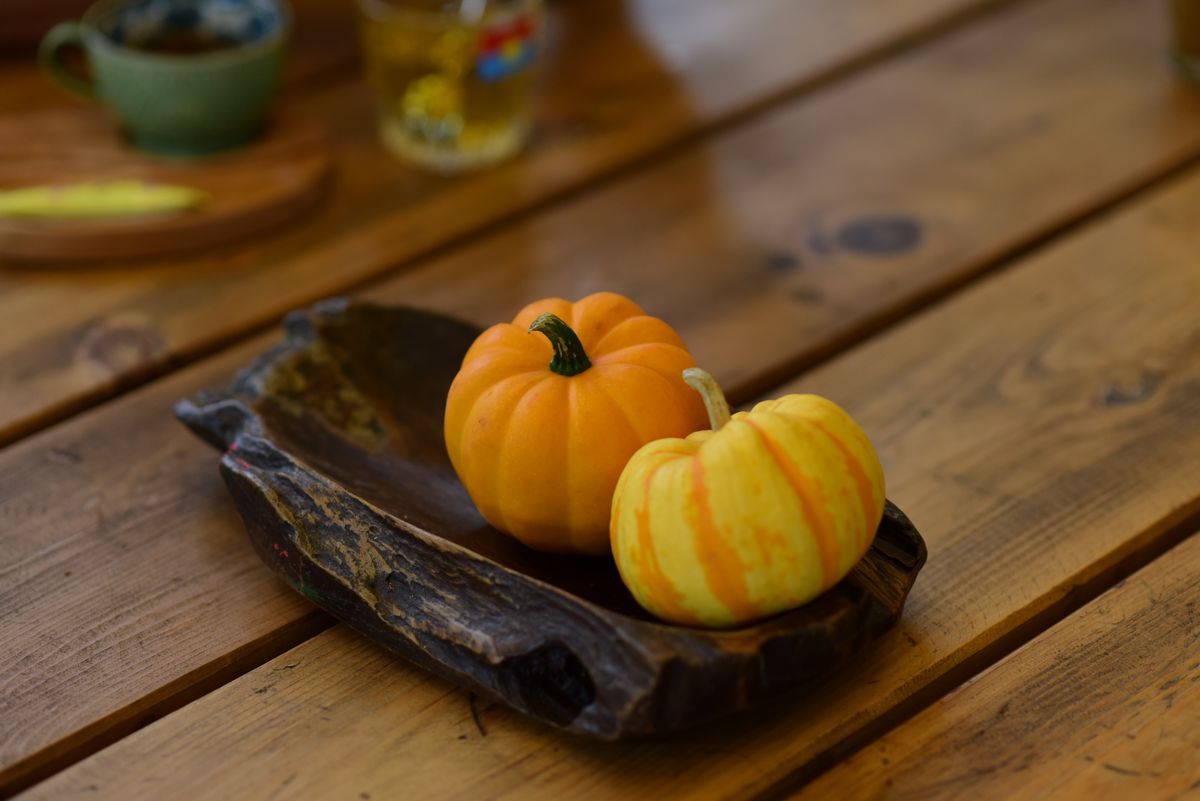 Two colorful mini pumpkins displayed on a rustic wooden table, perfect autumn decor. Stock Photo.