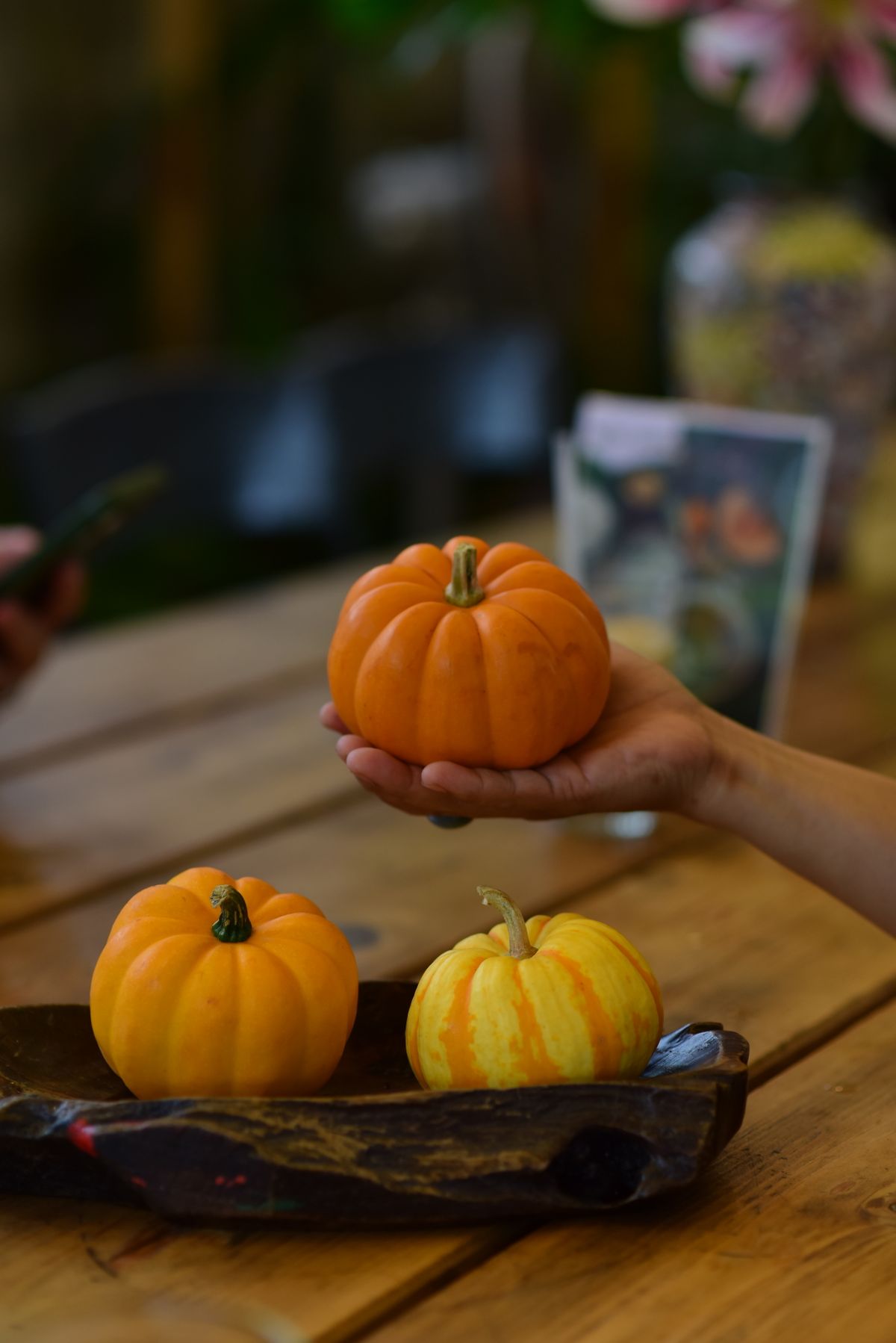 A hand holding a mini pumpkin on a wooden table with decorative gourds, perfect for autumn themes. Stock Photo.
