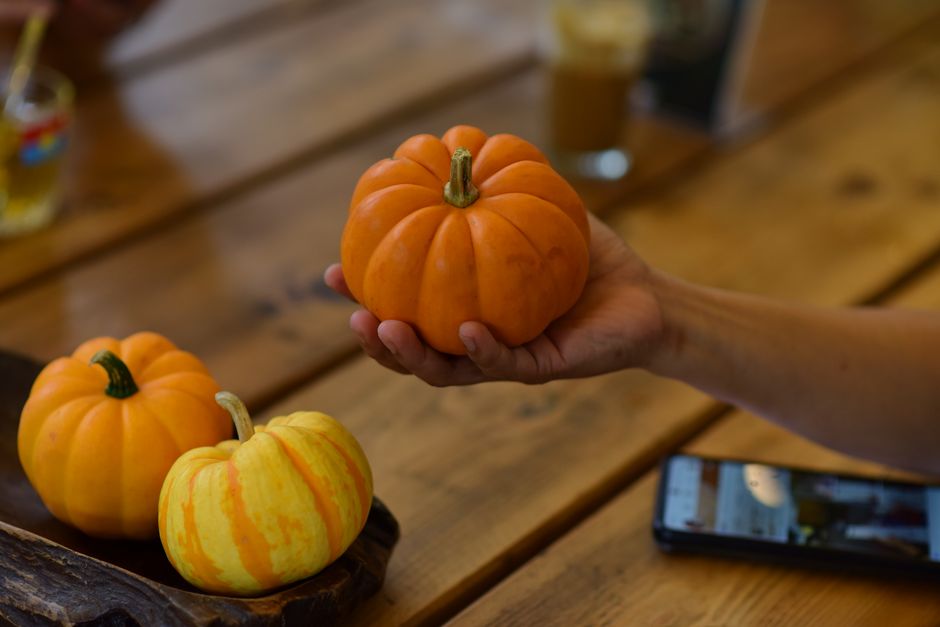 Close-up of a hand holding a mini pumpkin on a wooden table, symbolizing autumn.