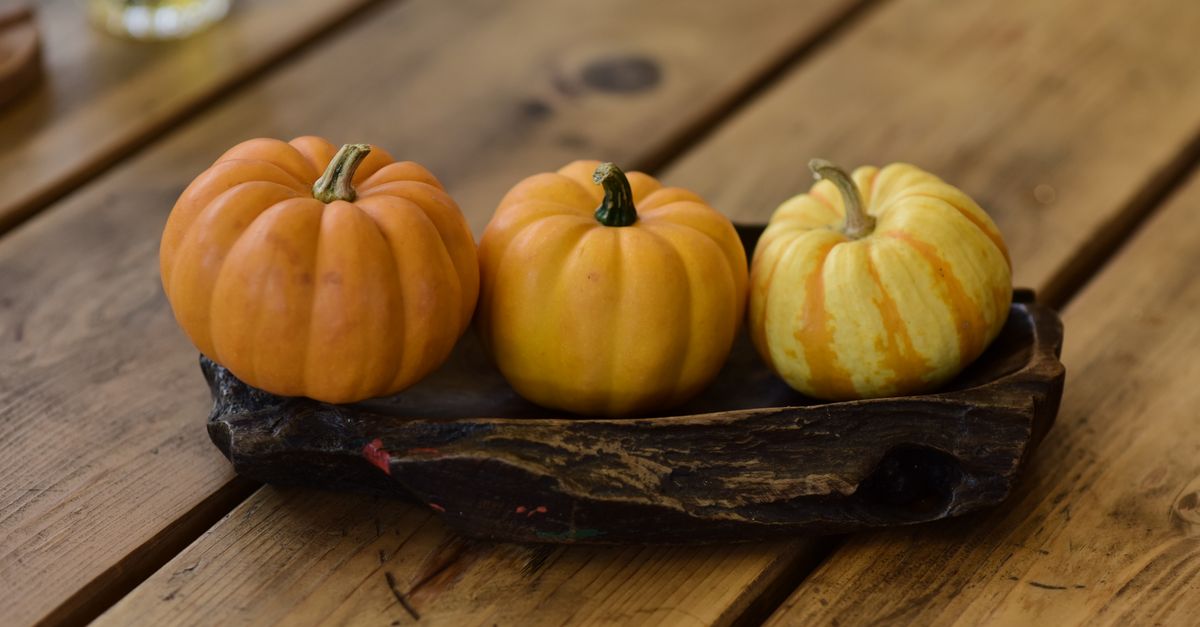 Frontier Park Fills With Hay Bales and Neighbors: Celebrate Prosper Returns October 17