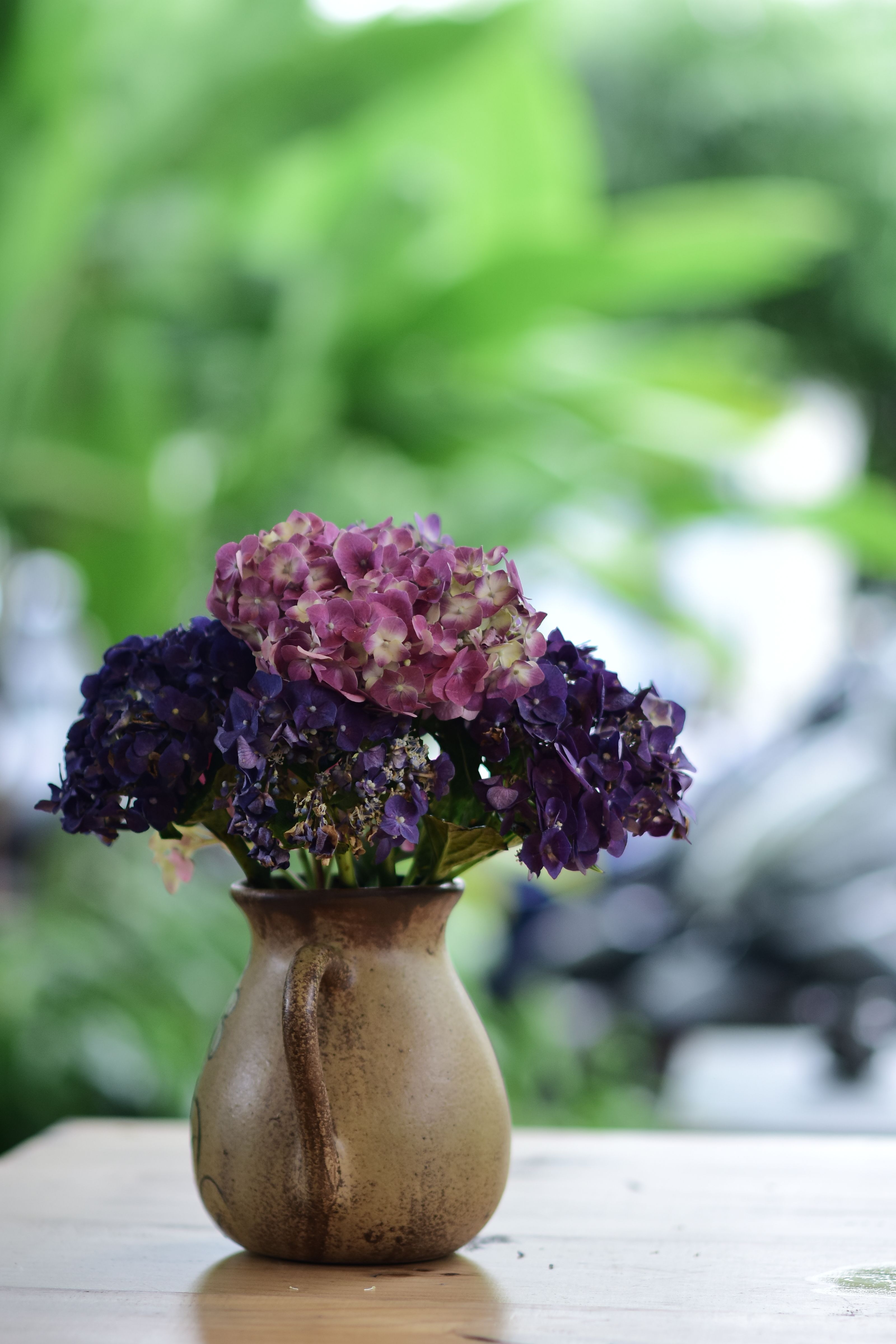 [ColoSach]-a-vibrant-bouquet-of-purple-and-pink-hydrangeas-in-a-rustic-vase-on-a-wooden-table.