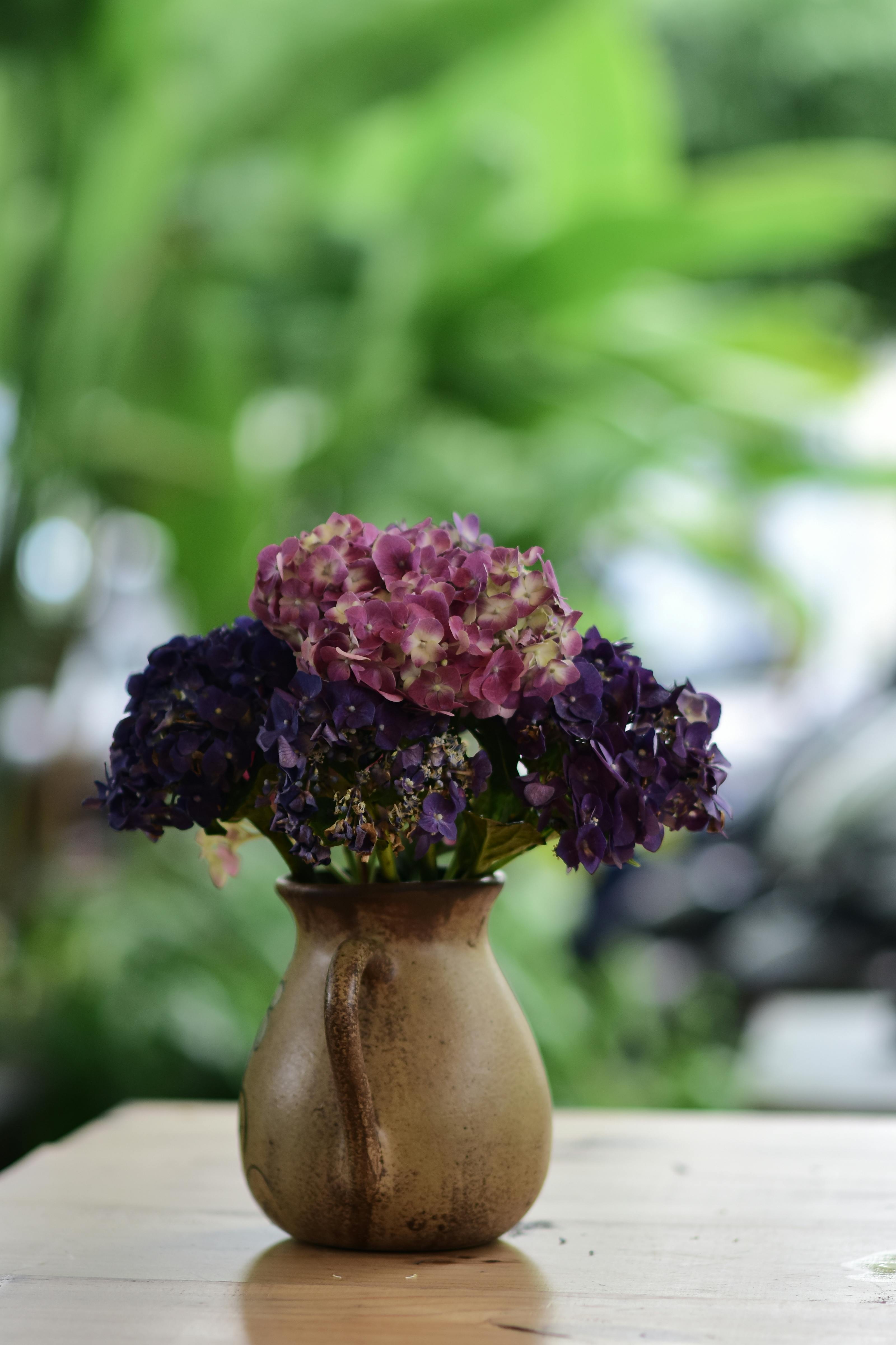 [ColoSach]-a-charming-arrangement-of-purple-and-pink-hydrangeas-in-a-rustic-vase-set-on-a-wooden-table-outdoors.