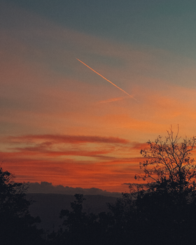 Beautiful sunset with silhouetted trees and a colorful sky, perfect for travel and nature themes.