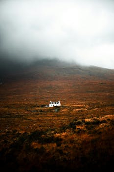 Free stock photo of autumn, autumn landscape, autumn vides