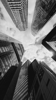 Upward view of towering skyscrapers in a city, in striking black and white.