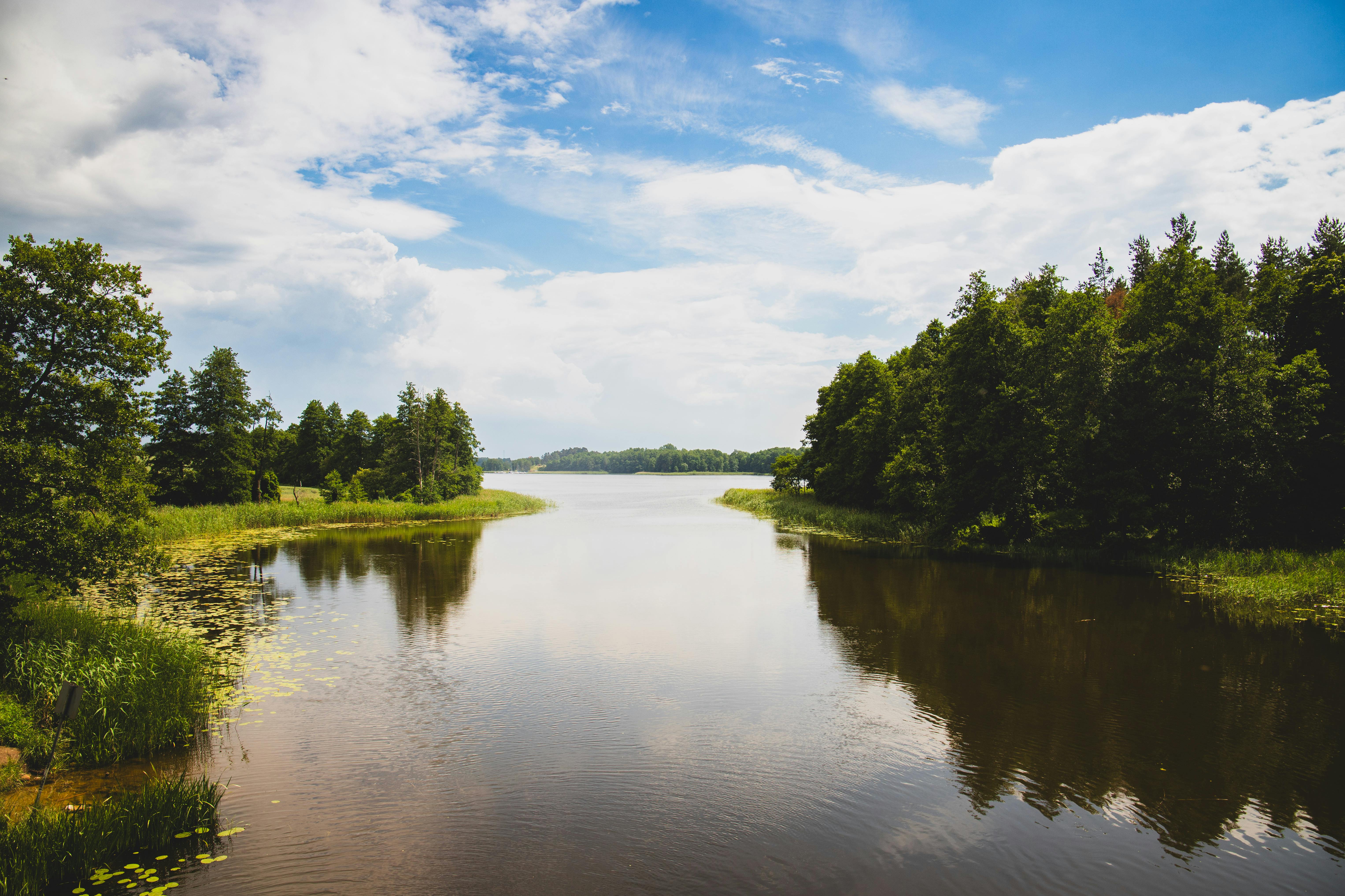 Kostenlos Eine friedliche Flussszene mit üppig grünen Ufern unter einem strahlend blauen Himmel. Perfekt für Naturliebhaber. Stock-Foto