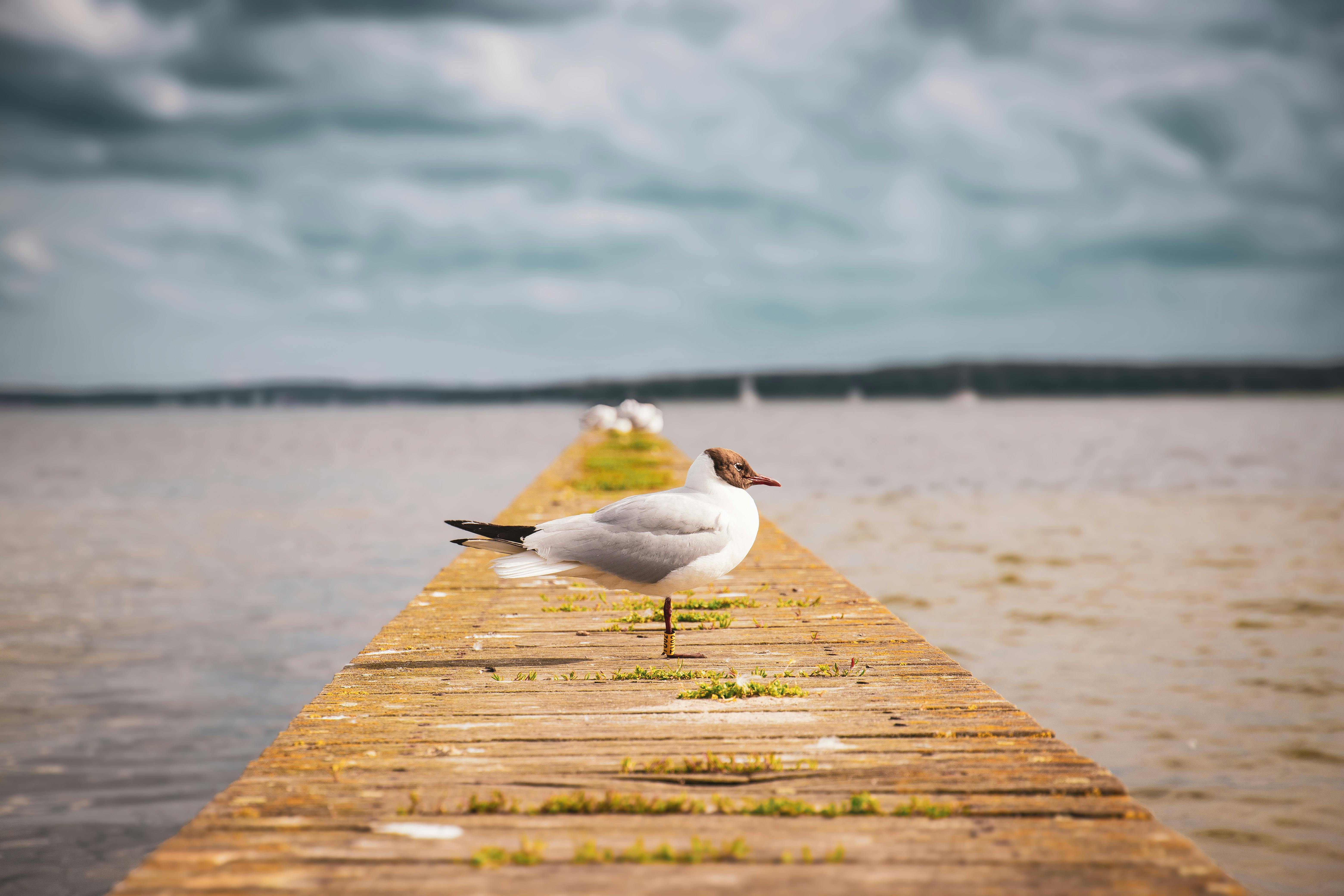 環境部國際論壇聚焦化災防救與跨國合作強化環境安全