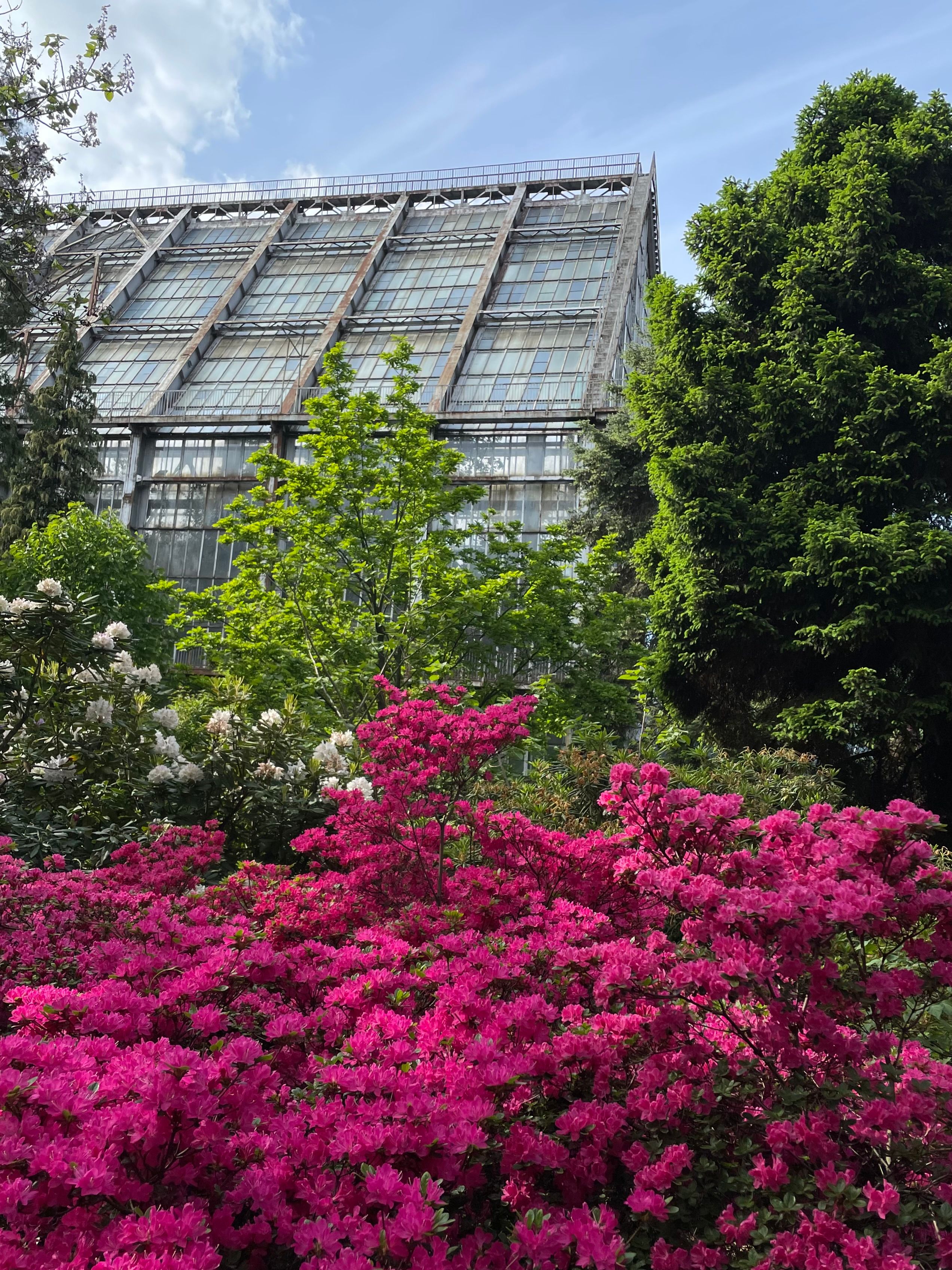 Colorful garden blooms in front of a striking glasshouse structure.