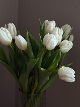 Beautiful bouquet of white tulips in a vase, perfect for home decor and floral arrangements.