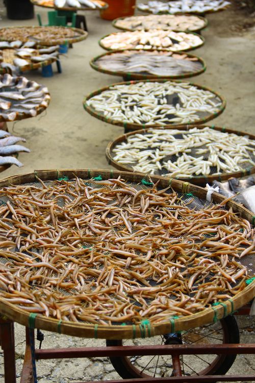 Philippines Drying Fish Rack Traditional Fish Drying Racks in Open Air Market · Free Stock Photo