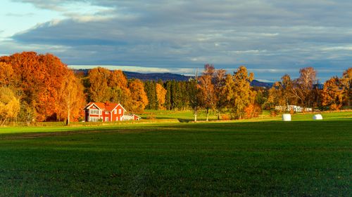 Free Peaceful autumn countryside with a red house surrounded by colorful trees and open fields. Stock Photo