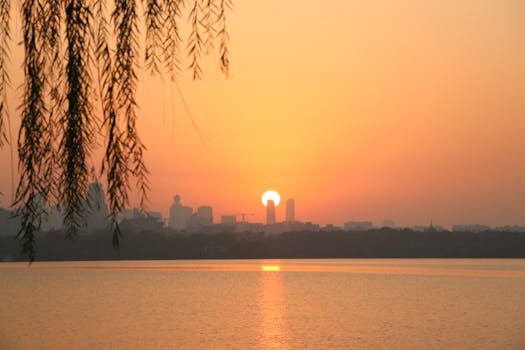 Serene sunset over city skyline with tree branches and calm water reflection creating a picturesque scene.