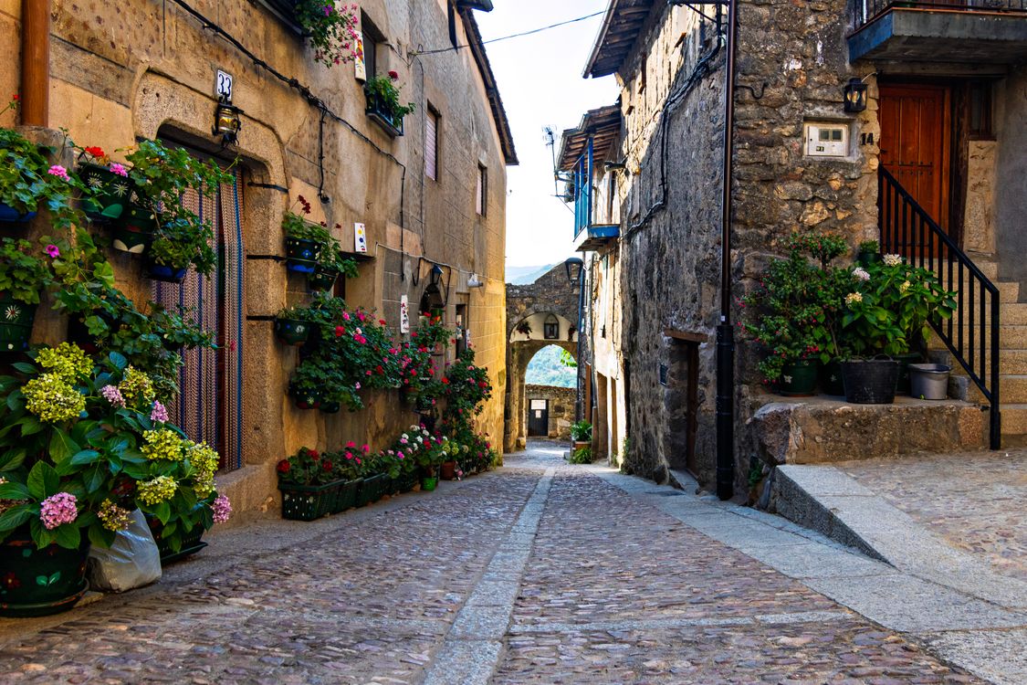 Charming European Street with Colorful Flowers · Free Stock Photo