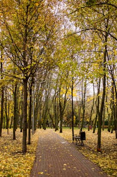 Image by Наталья Севрук