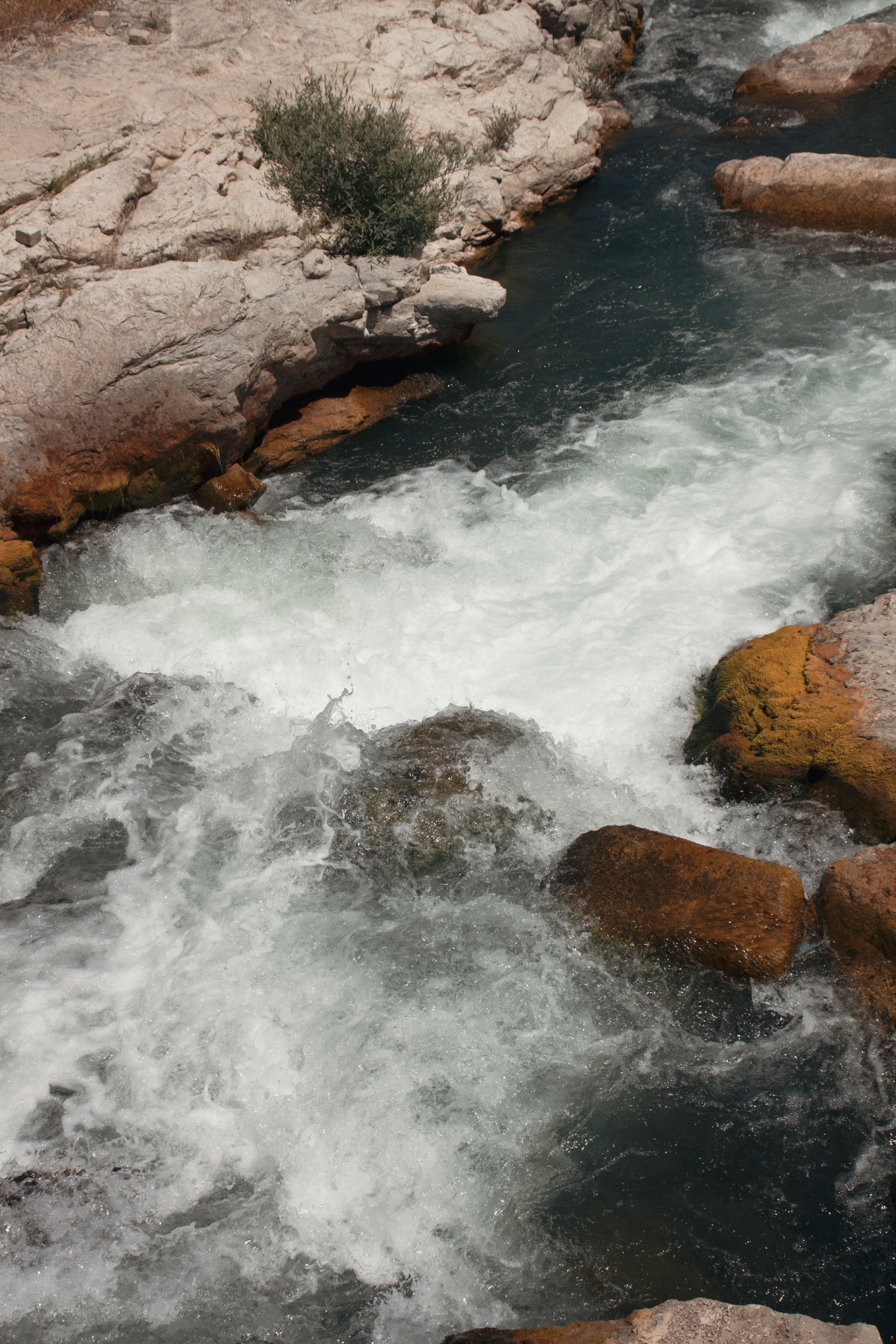 Rushing River Over Rocks in Natural Landscape · Free Stock Photo