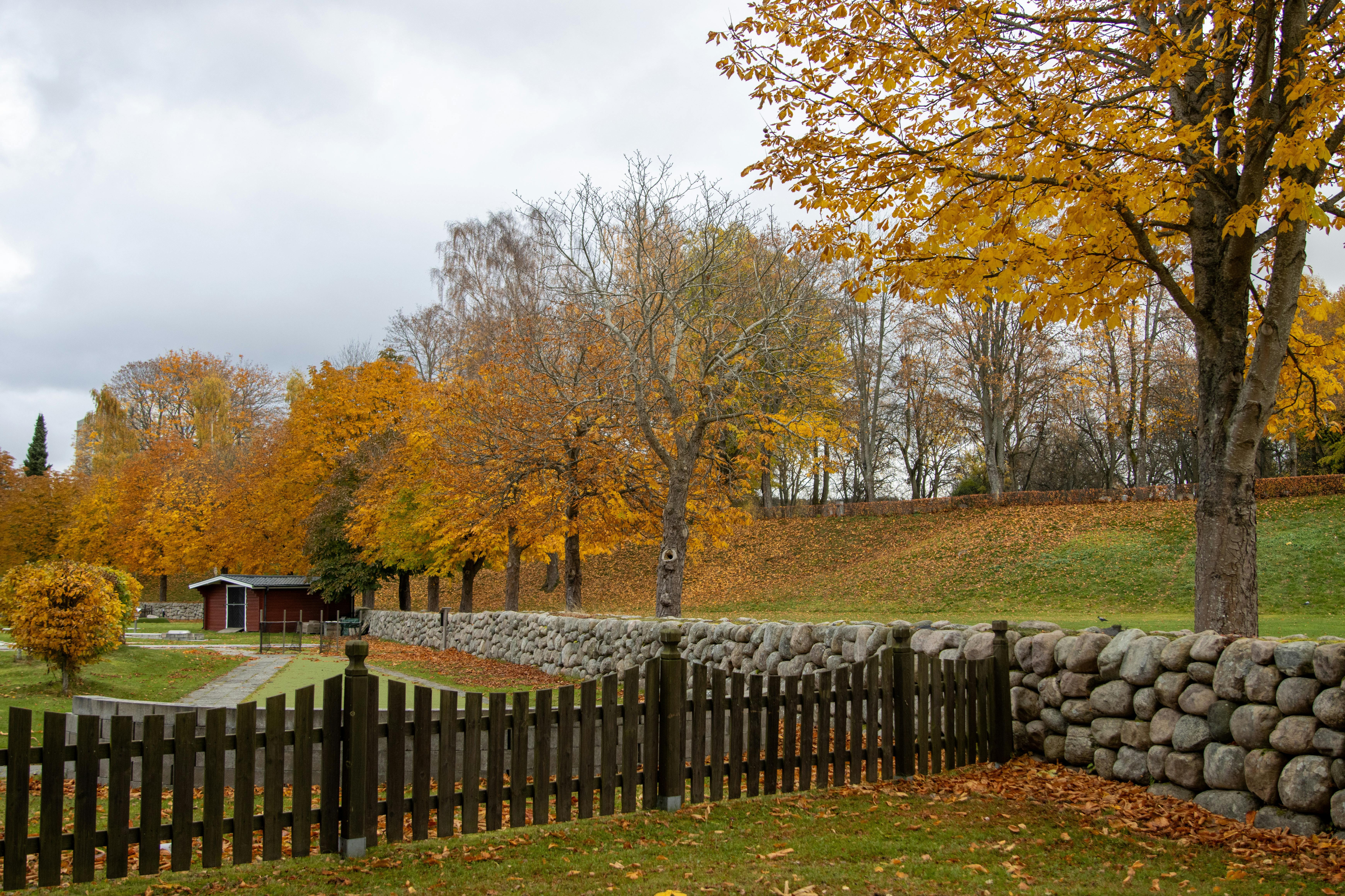 Guest Posting in 2025: Discover What’s Evolved and What Remains 1 The Evolution of Guest Posting: 7 Key Changes You Must Know in 2025