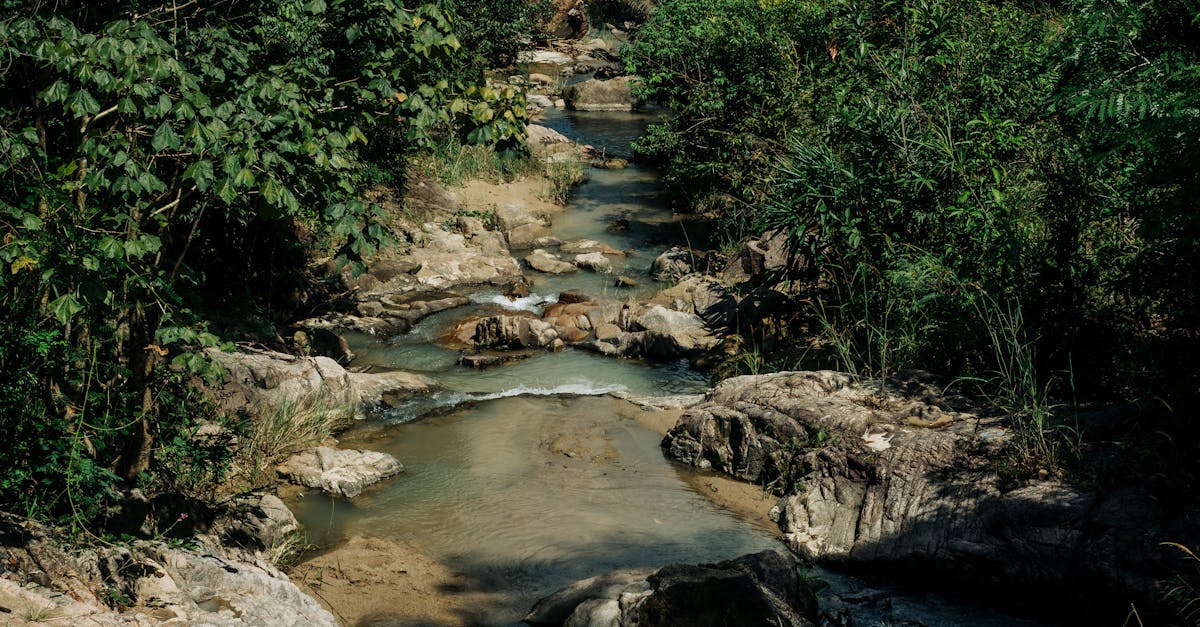 國際:澳洲稀土企業擴展布局 馬來西亞新廠助力非中國供應鏈
