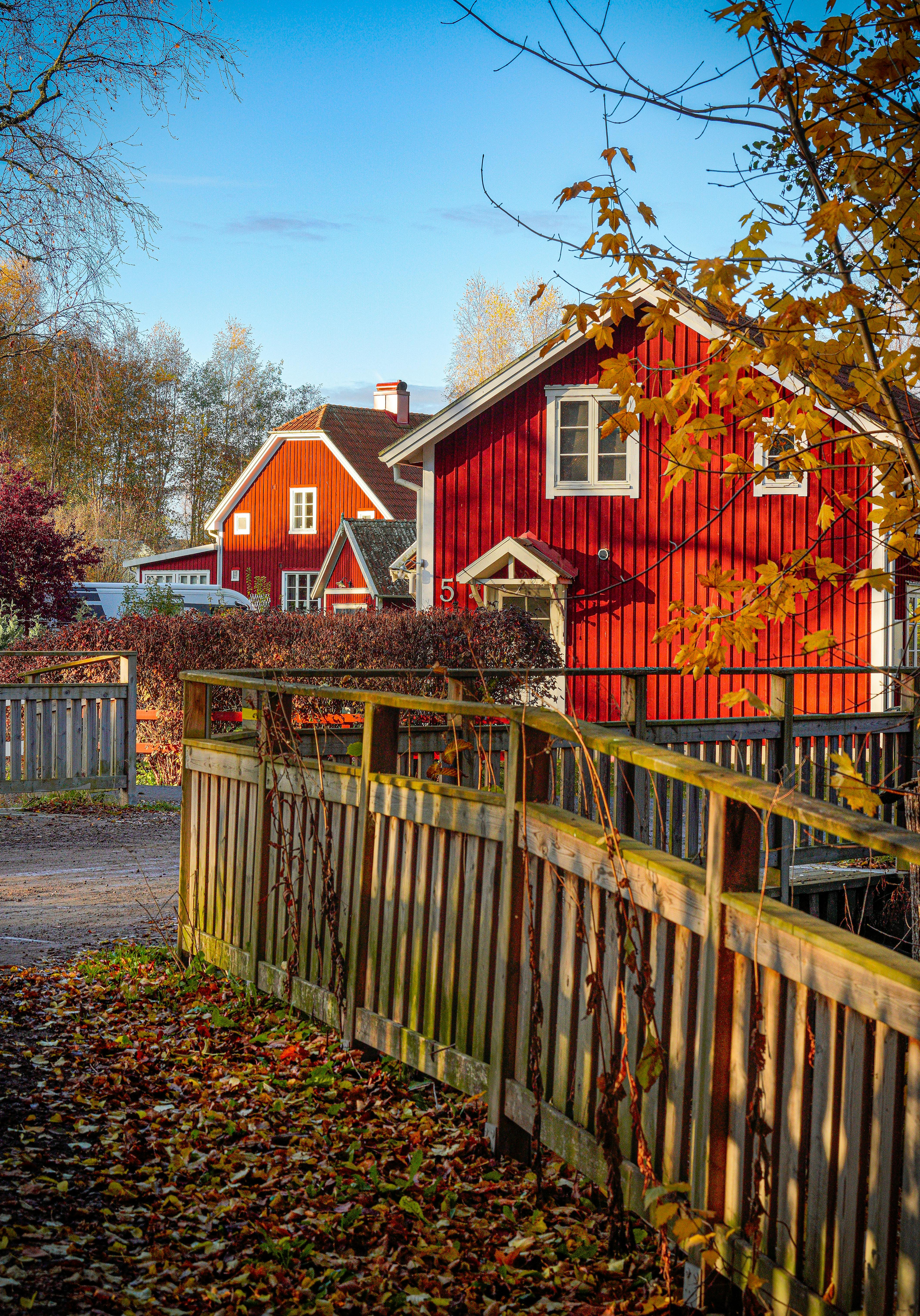 A traditional red wooden house surrounded by autumn foliage with a rustic fence in a Nordic countryside.