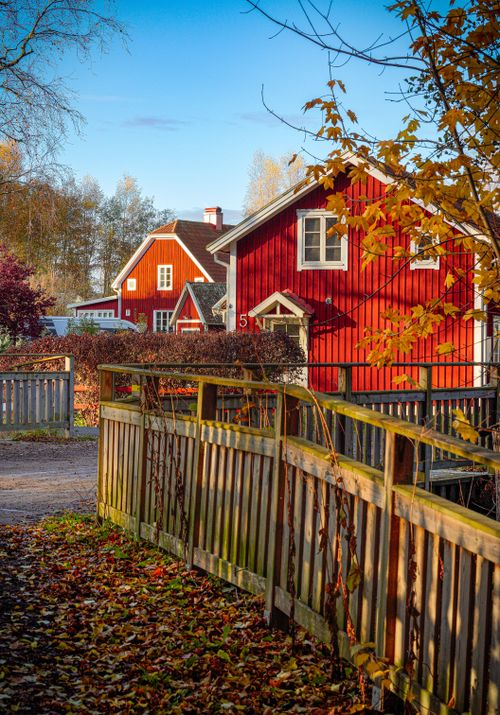 Free A traditional red wooden house surrounded by autumn foliage with a rustic fence in a Nordic countryside. Stock Photo