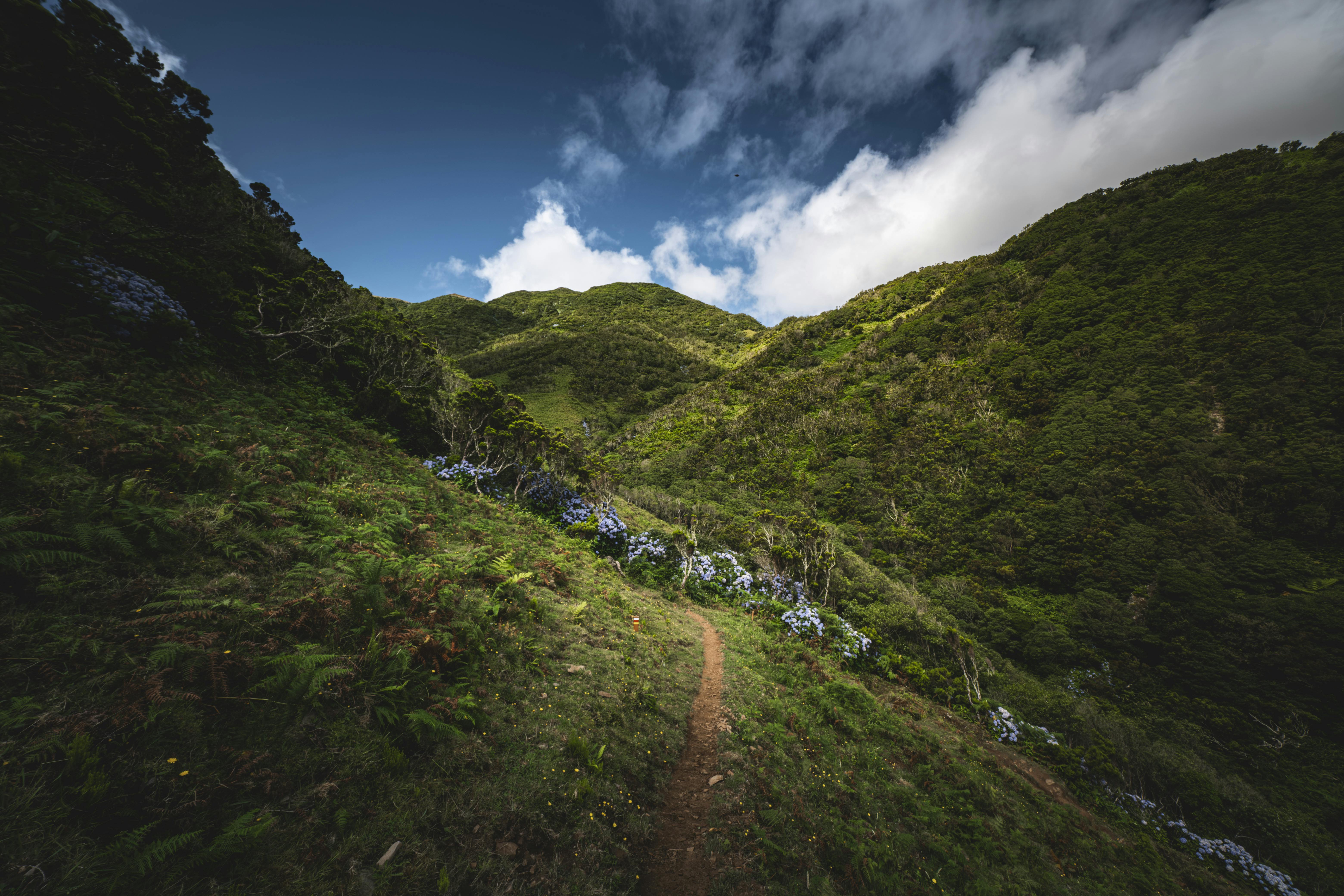 Discover the Secret Benefits of Cryotherapy