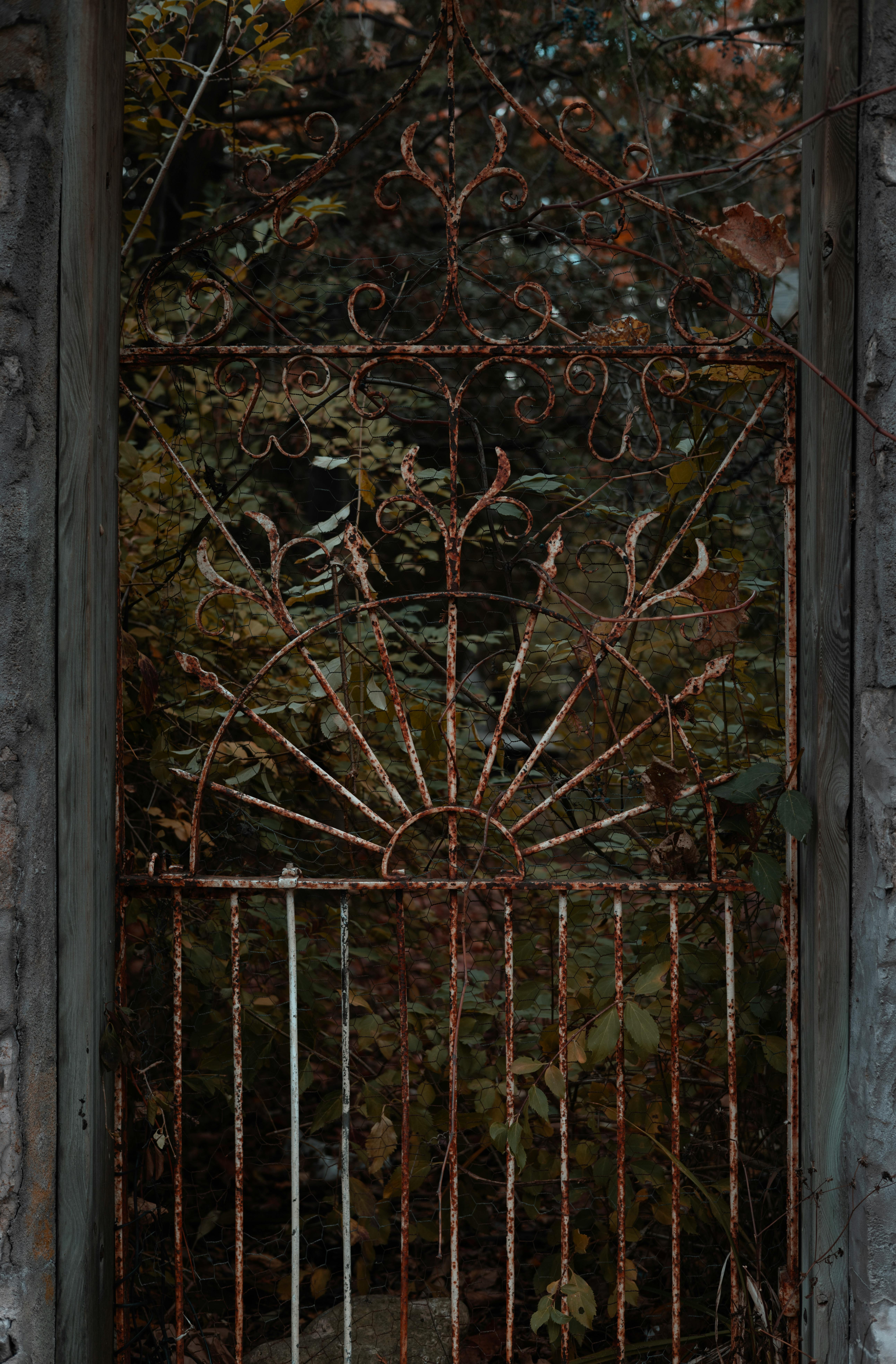 A weathered iron gate stands amidst lush foliage in a serene garden.